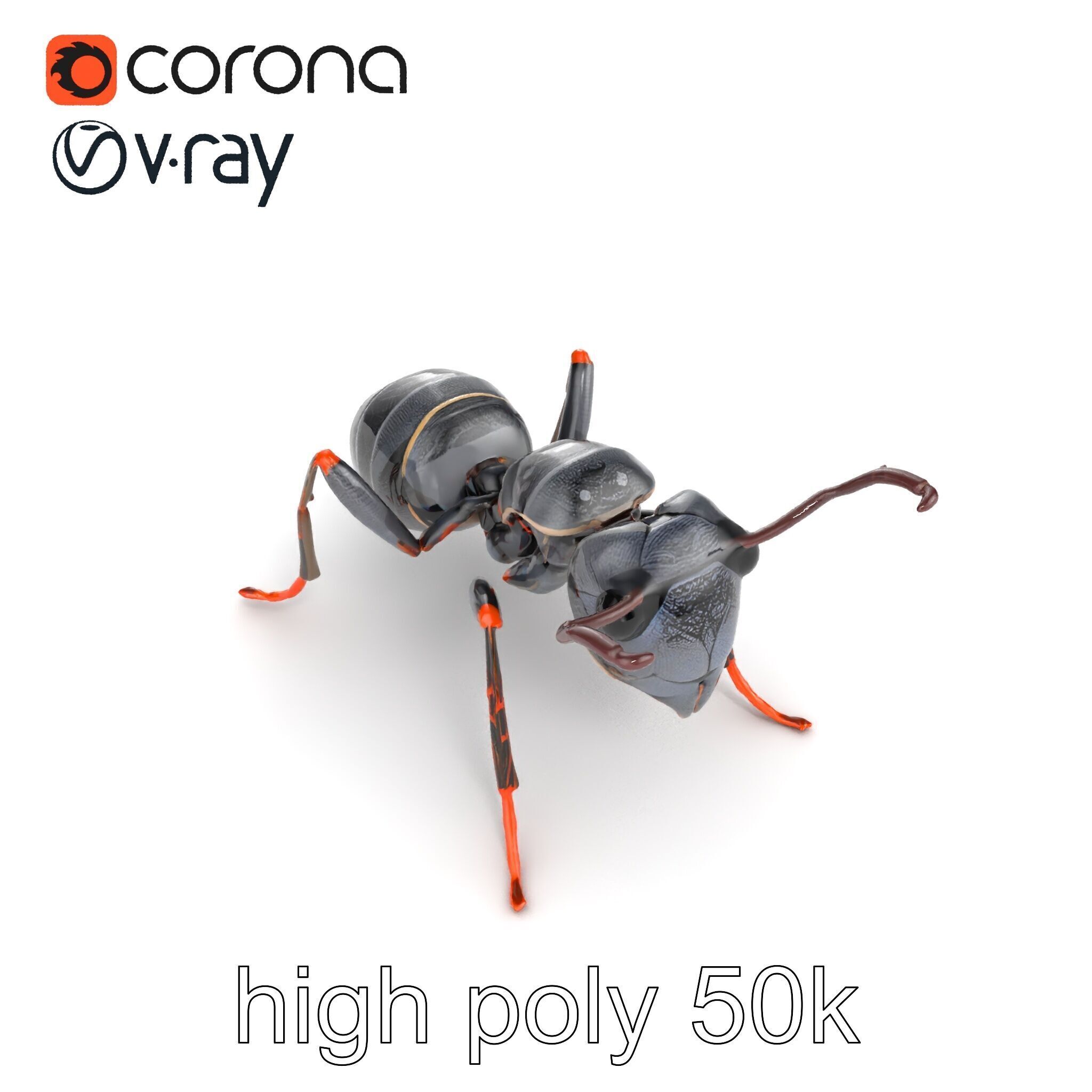 Gray-Black Mountain Ant Detailed Sculpture model pack Low-poly 3D model_25