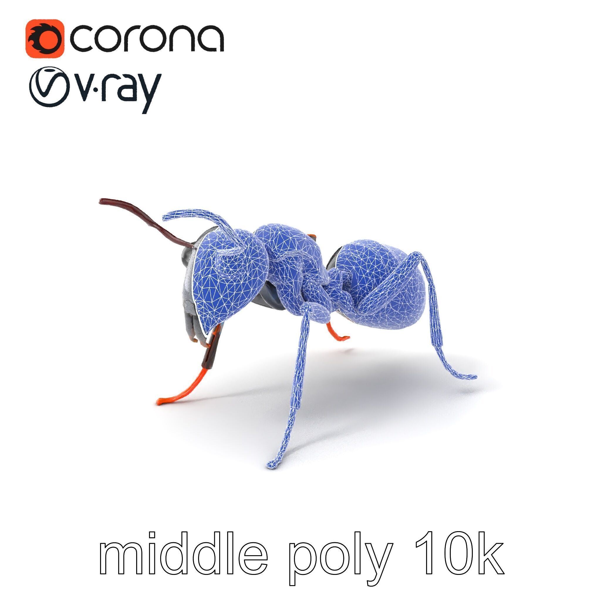 Gray-Black Mountain Ant Detailed Sculpture model pack Low-poly 3D model_5