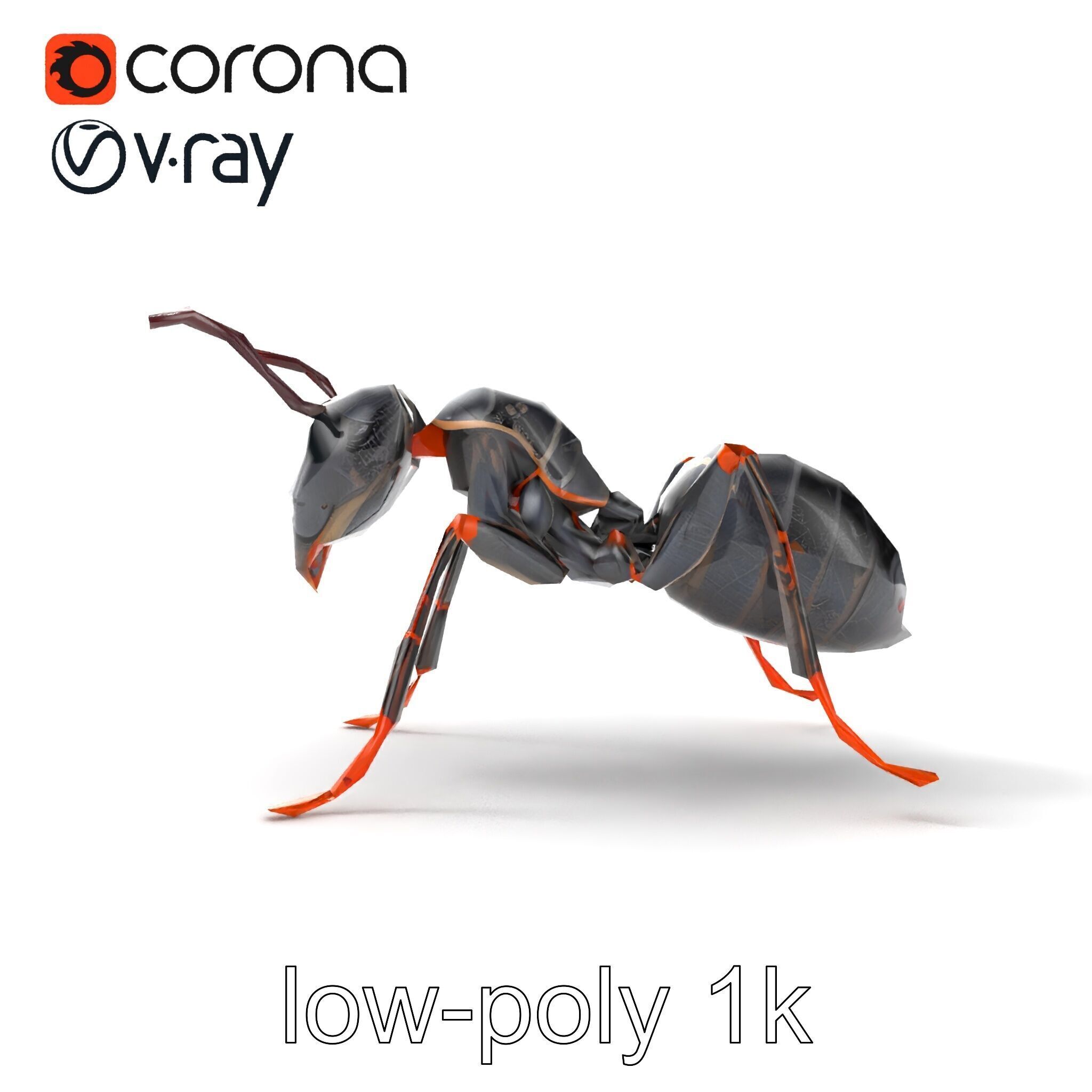 Gray-Black Mountain Ant Detailed Sculpture model pack Low-poly 3D model_24