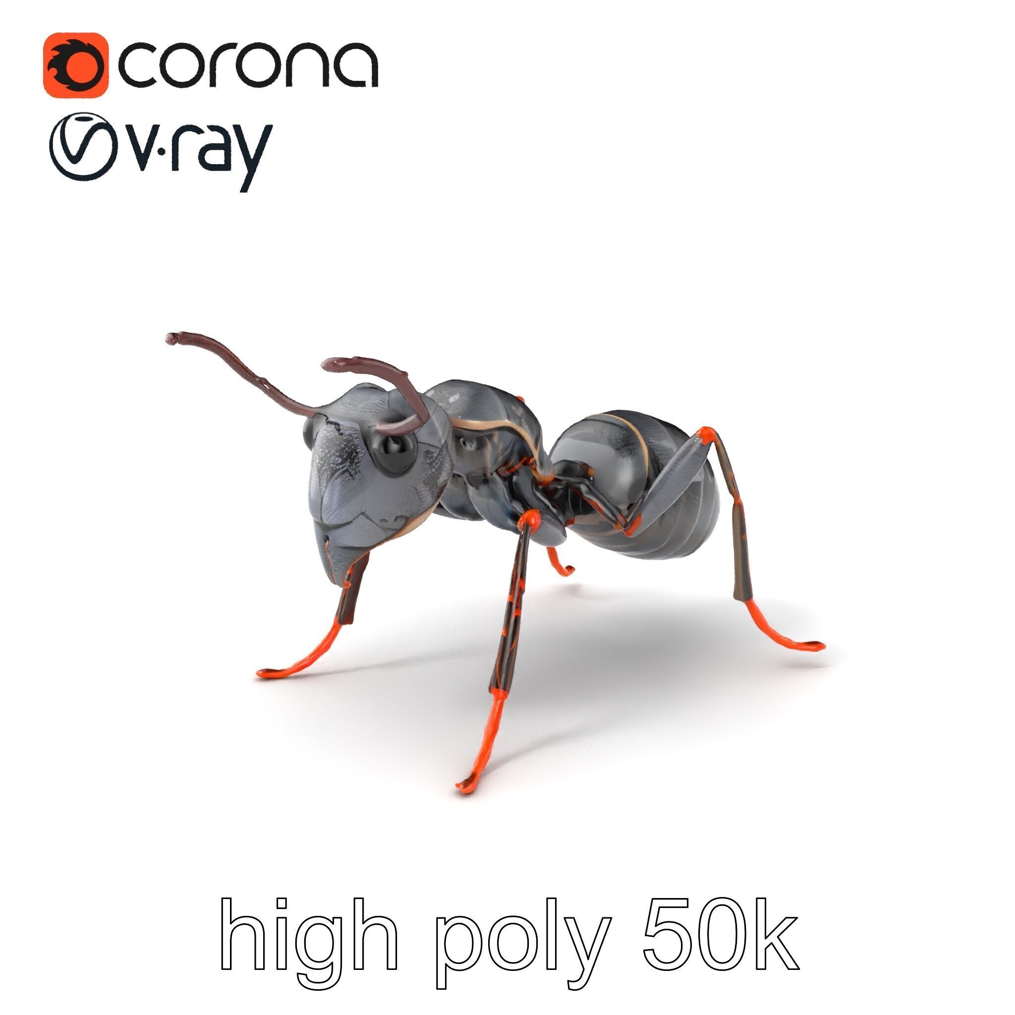 Gray-Black Mountain Ant Detailed Sculpture model pack Low-poly 3D model_2