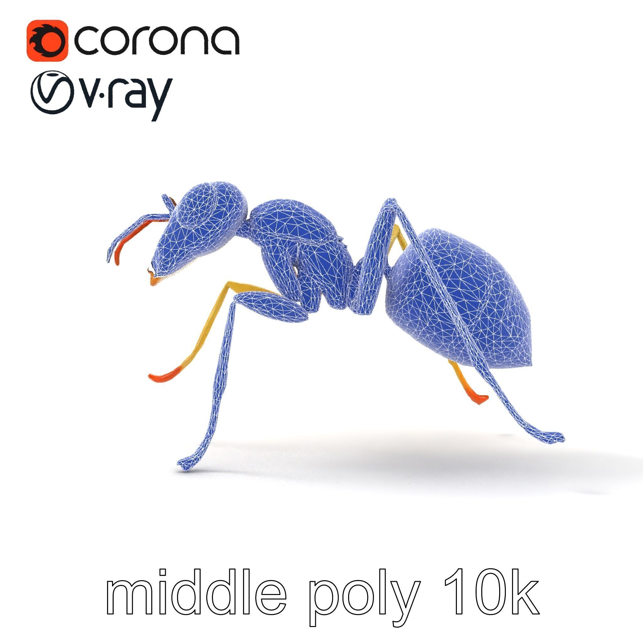 Crystal White Sugar Ant Model Pack Low-poly 3D model_18