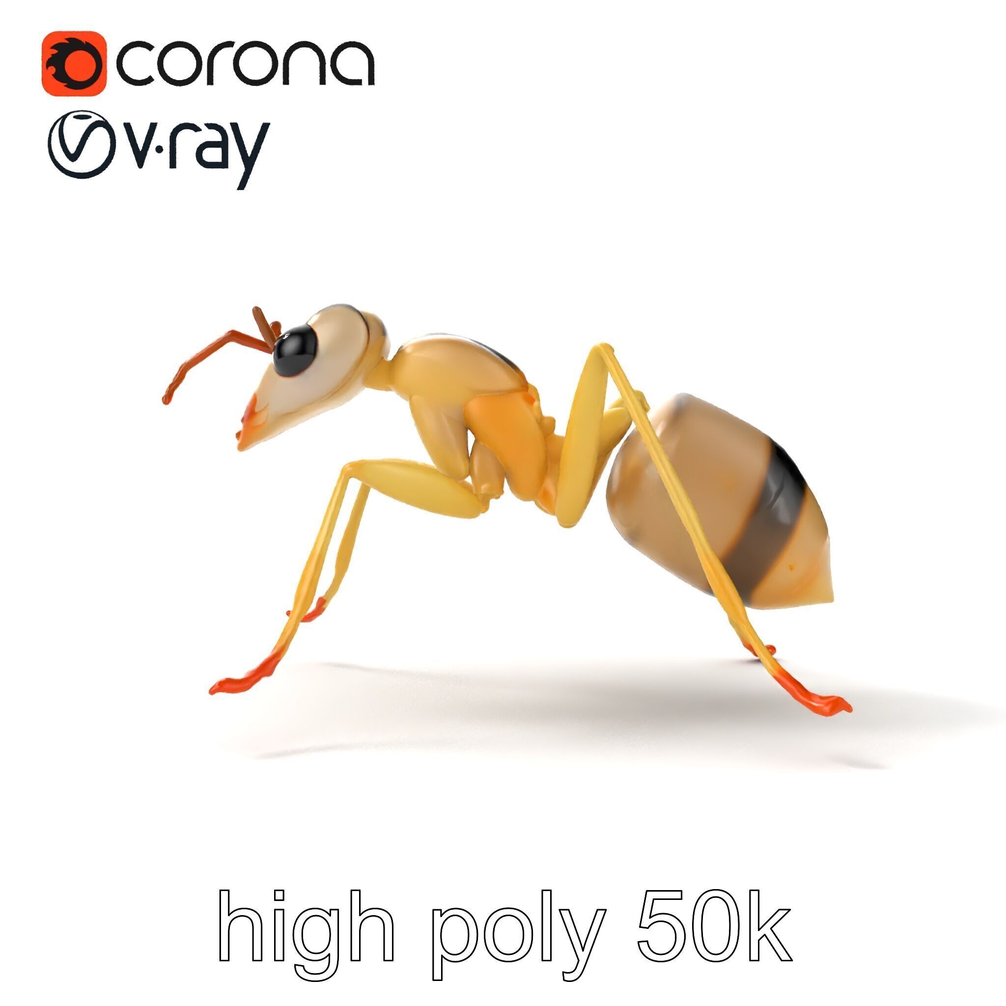 Crystal White Sugar Ant Model Pack Low-poly 3D model_27