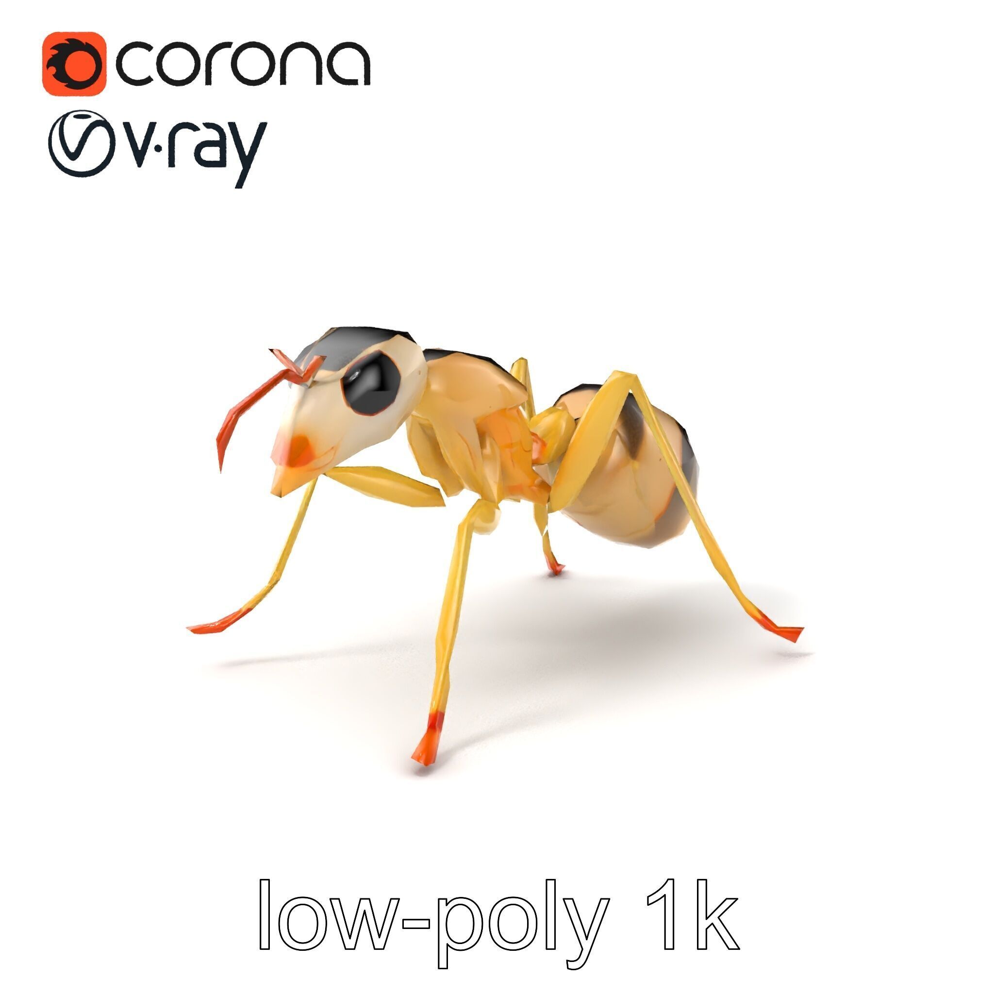 Crystal White Sugar Ant Model Pack Low-poly 3D model_5