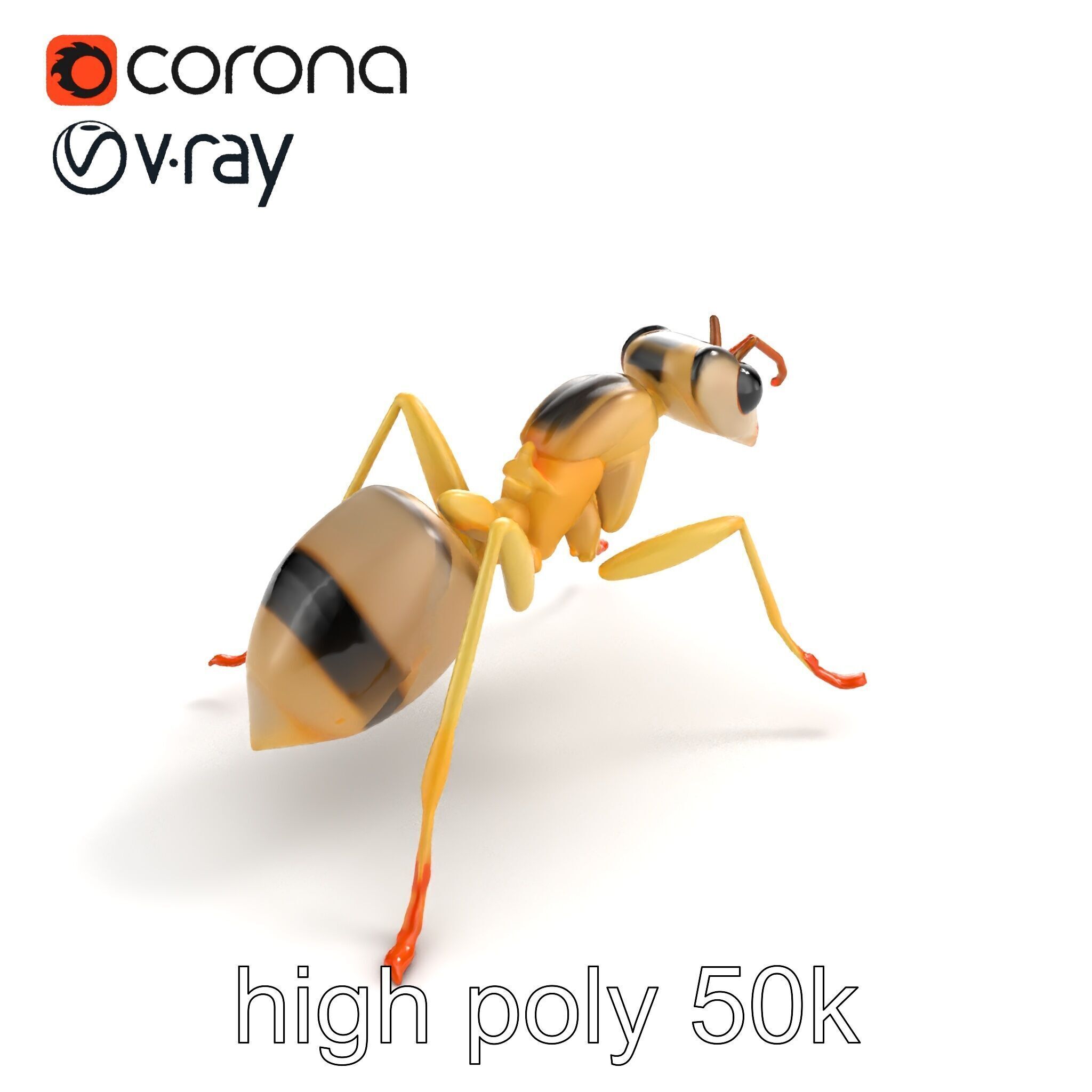 Crystal White Sugar Ant Model Pack Low-poly 3D model_20