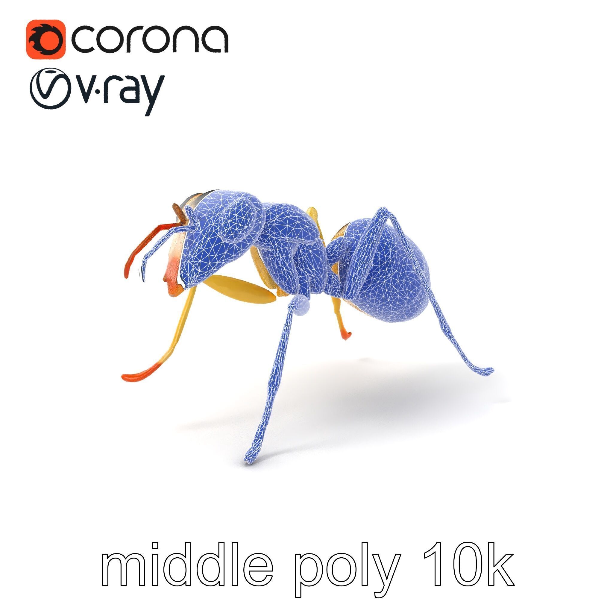 Crystal White Sugar Ant Model Pack Low-poly 3D model_6