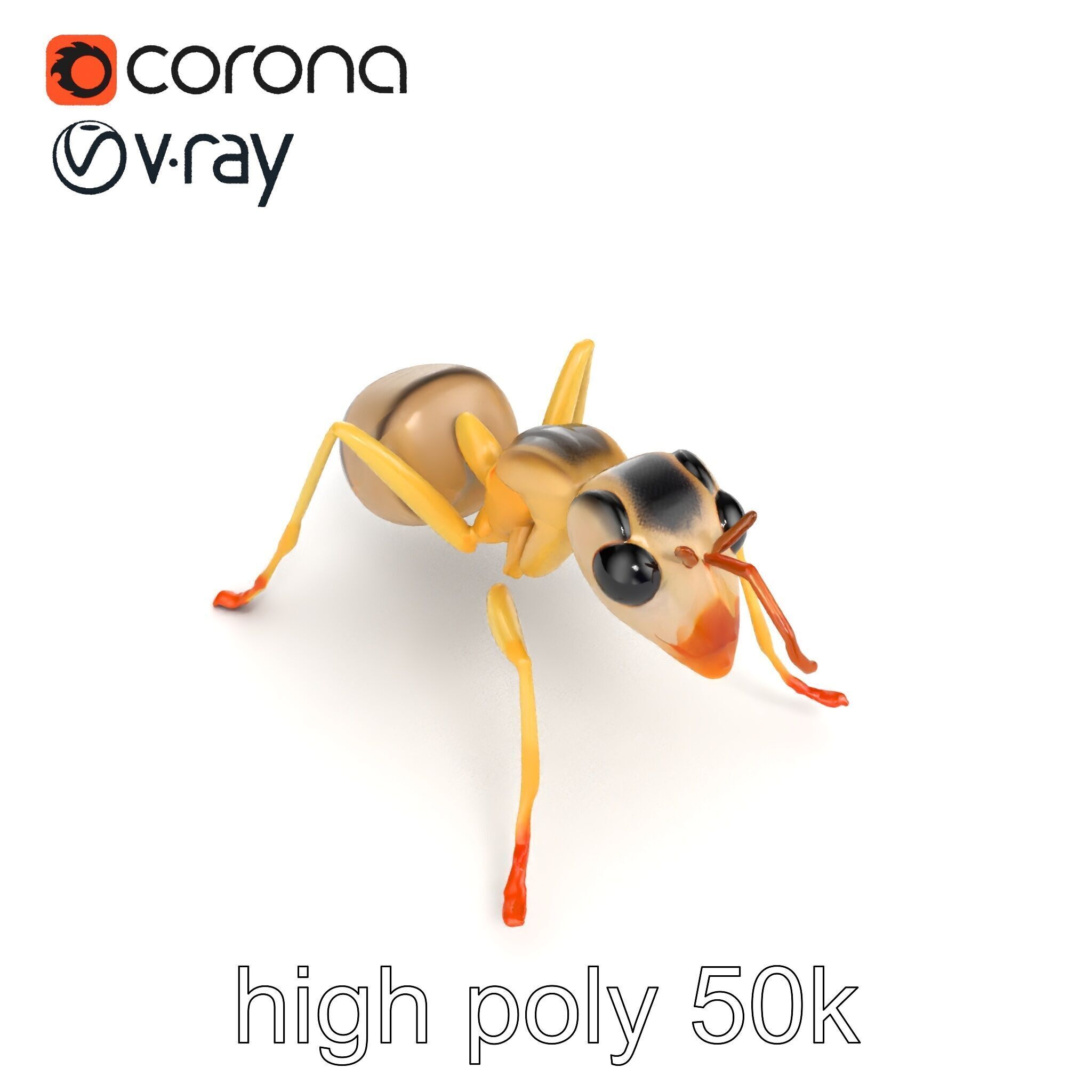 Crystal White Sugar Ant Model Pack Low-poly 3D model_32
