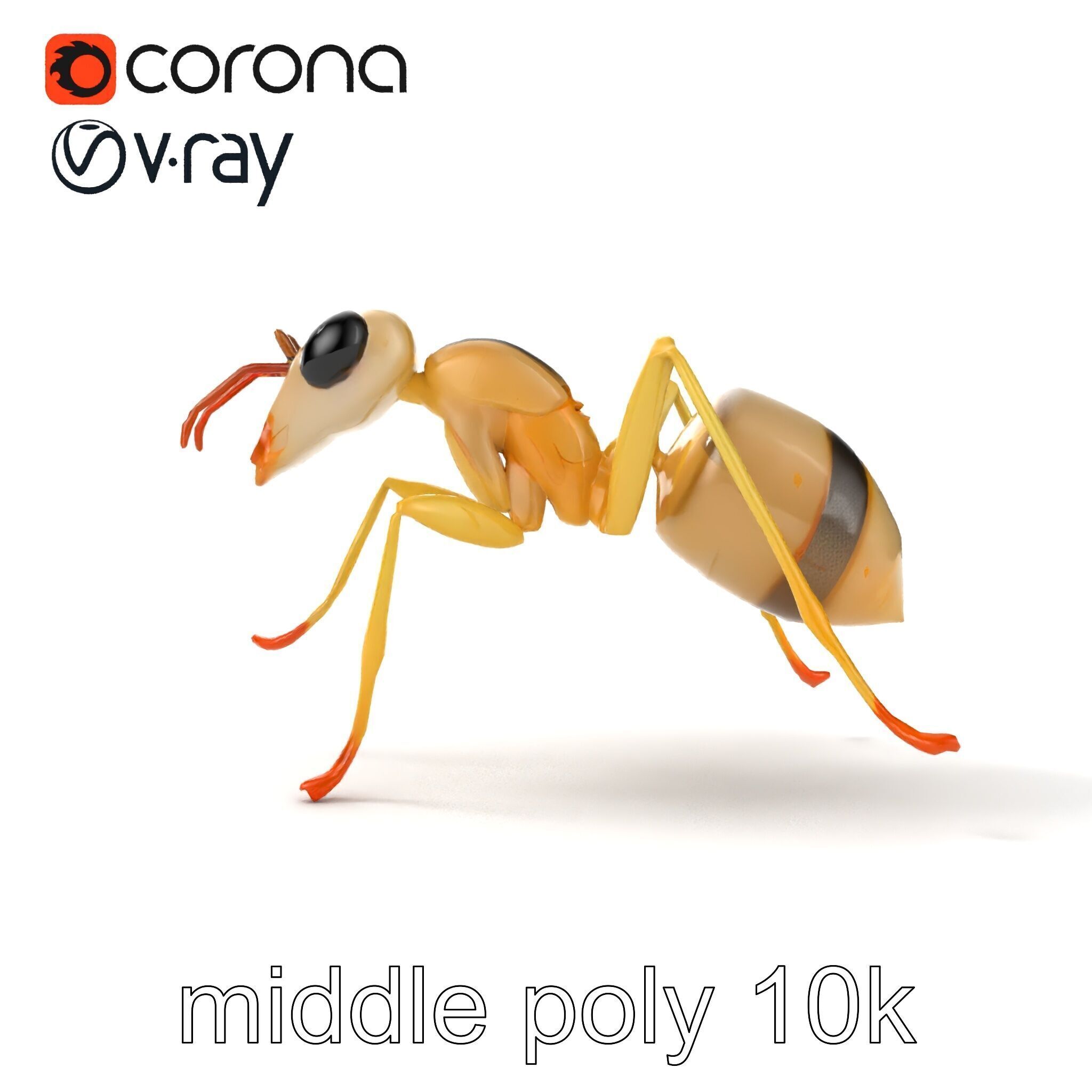 Crystal White Sugar Ant Model Pack Low-poly 3D model_16