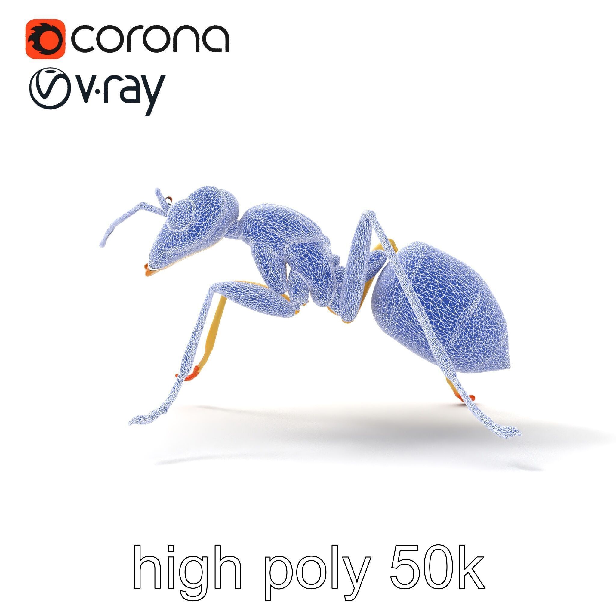 Crystal White Sugar Ant Model Pack Low-poly 3D model_28
