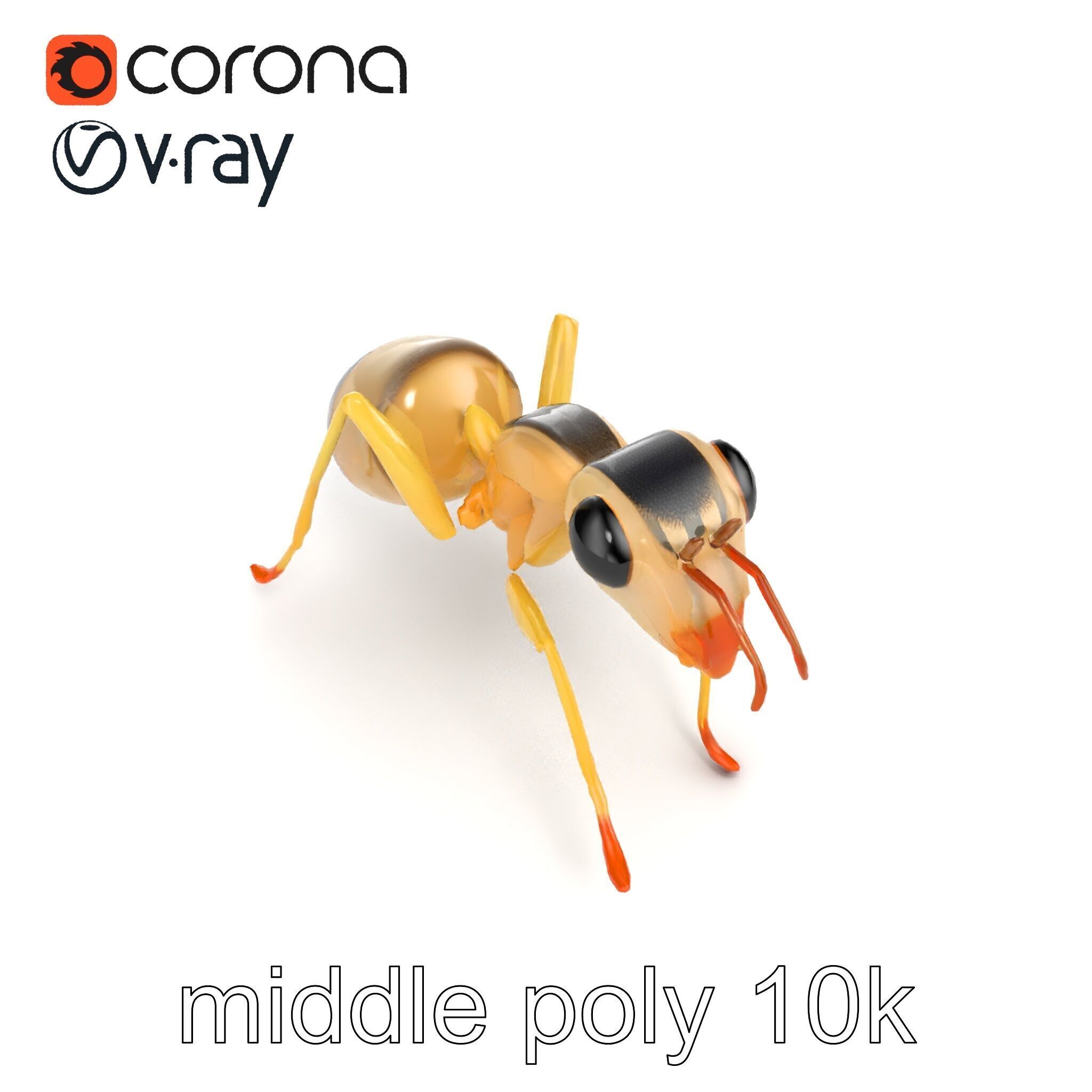 Crystal White Sugar Ant Model Pack Low-poly 3D model_22