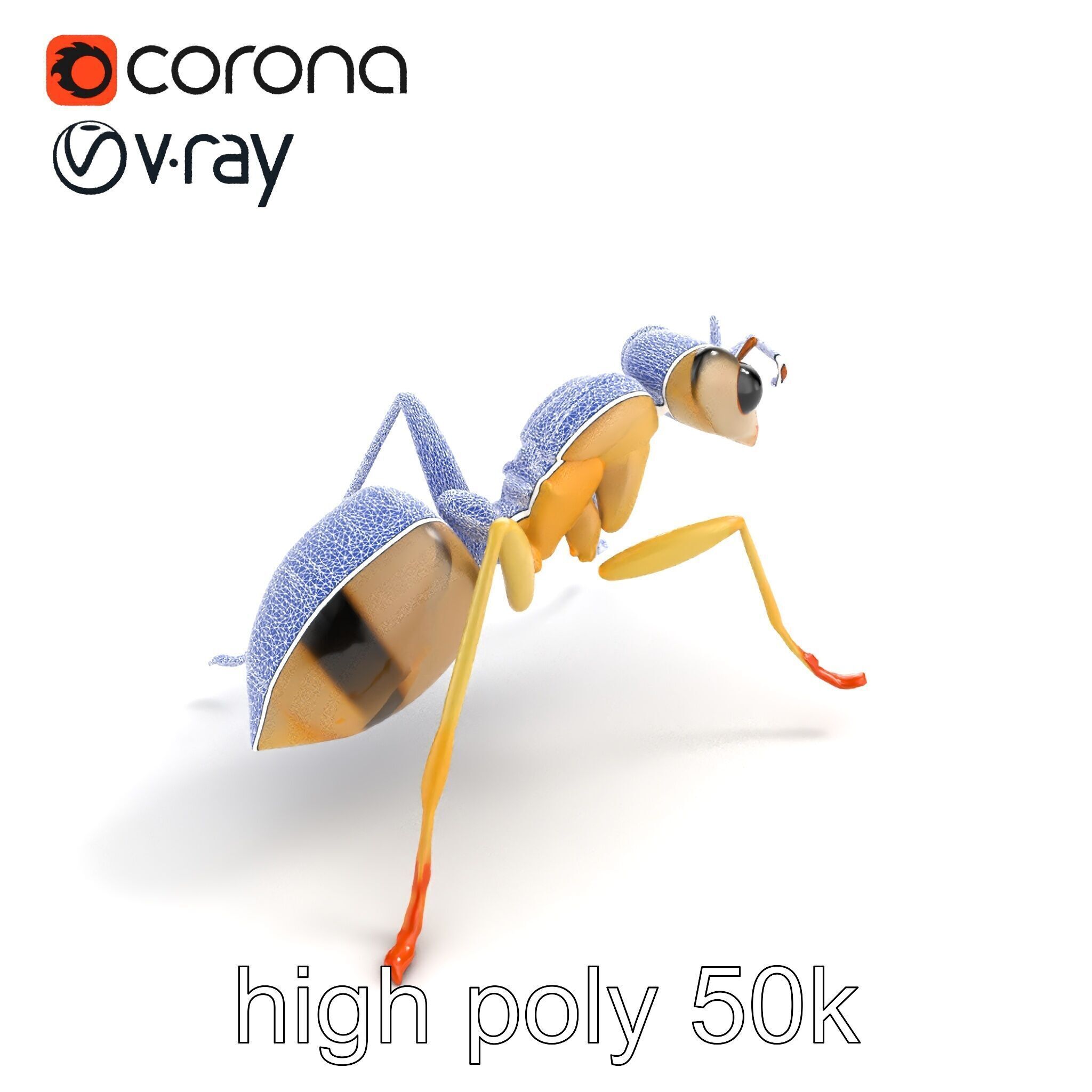 Crystal White Sugar Ant Model Pack Low-poly 3D model_12