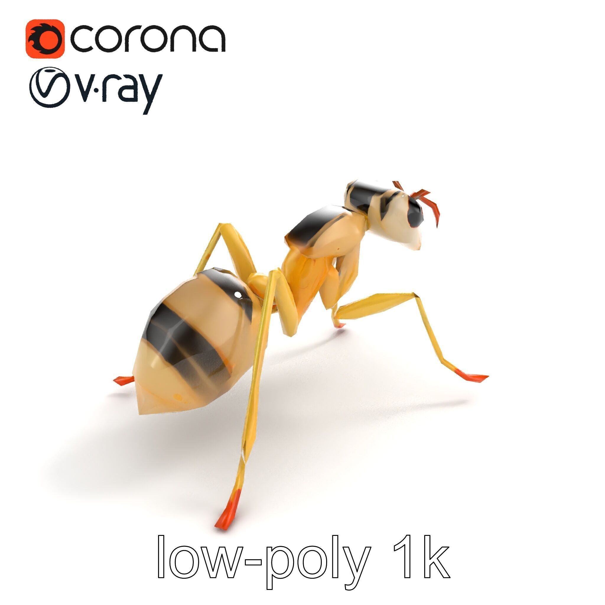 Crystal White Sugar Ant Model Pack Low-poly 3D model_9