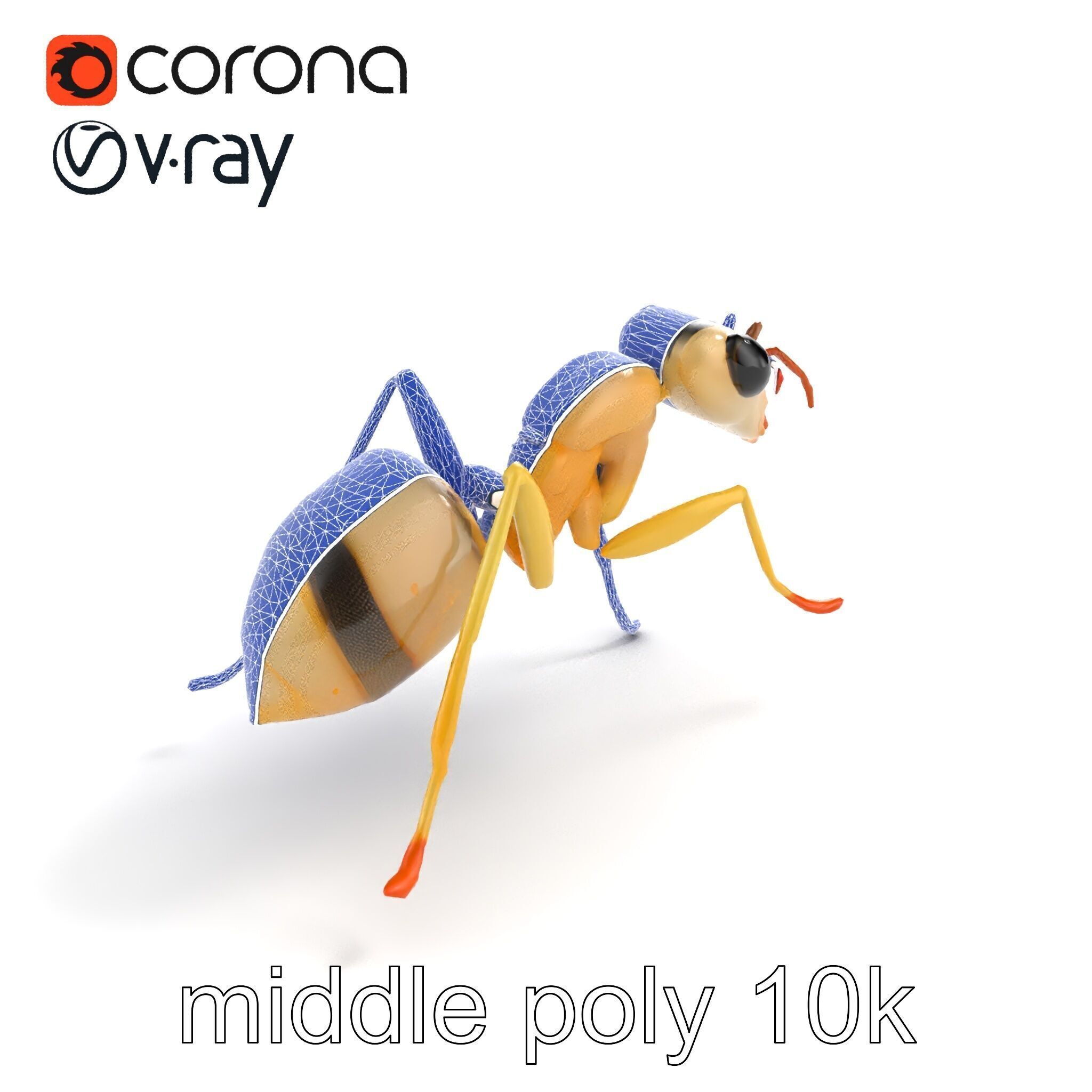 Crystal White Sugar Ant Model Pack Low-poly 3D model_13