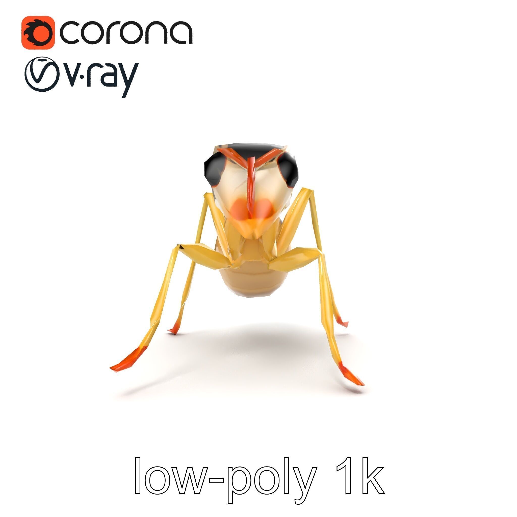 Crystal White Sugar Ant Model Pack Low-poly 3D model_19