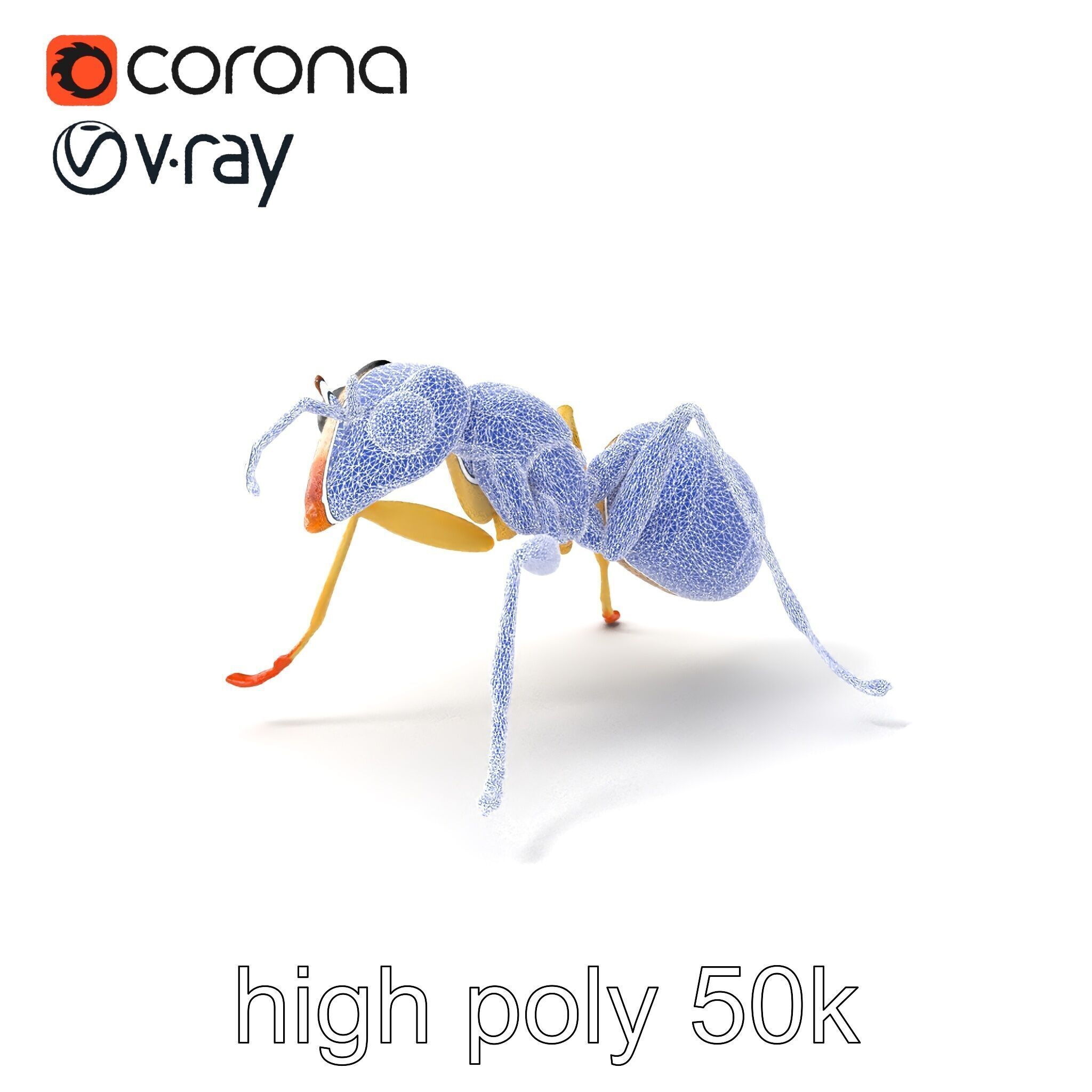 Crystal White Sugar Ant Model Pack Low-poly 3D model_10