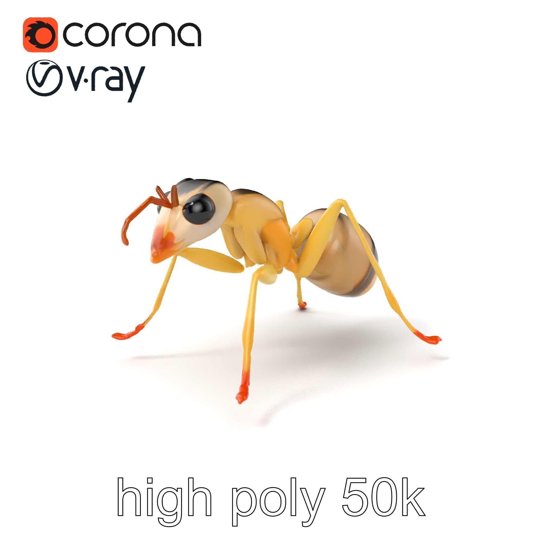 Crystal White Sugar Ant Model Pack Low-poly 3D model_2