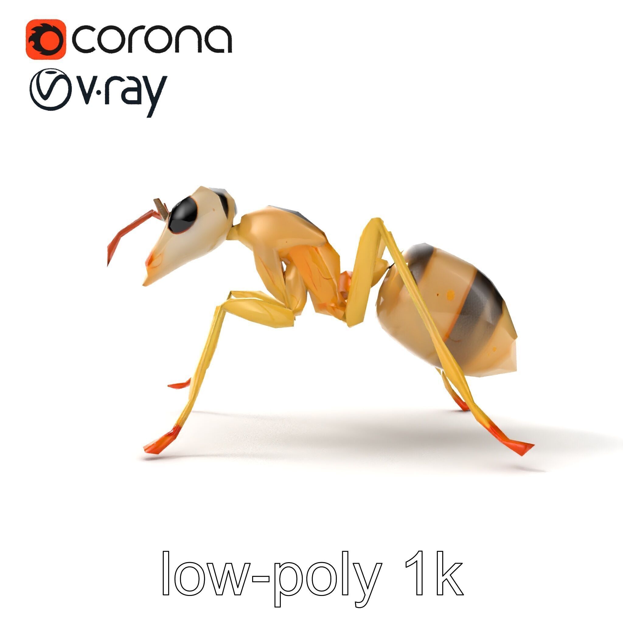 Crystal White Sugar Ant Model Pack Low-poly 3D model_11