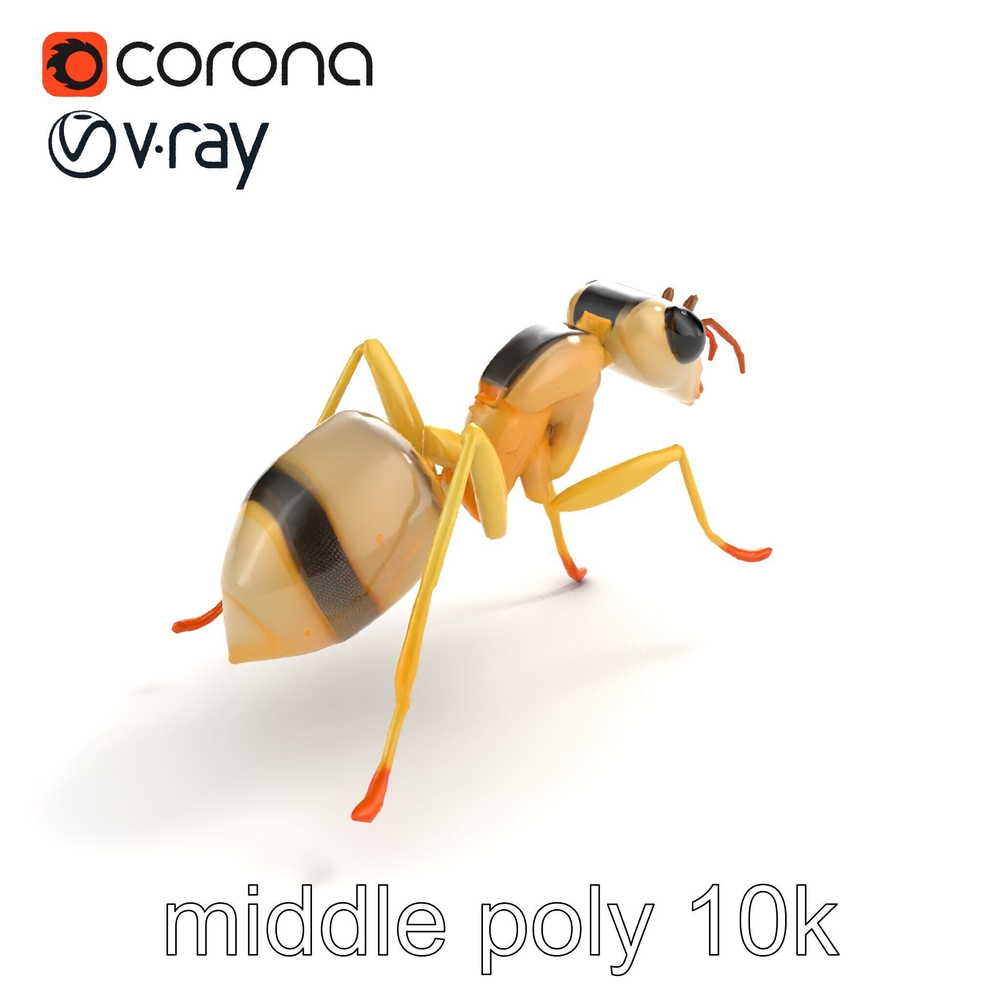Crystal White Sugar Ant Model Pack Low-poly 3D model_8