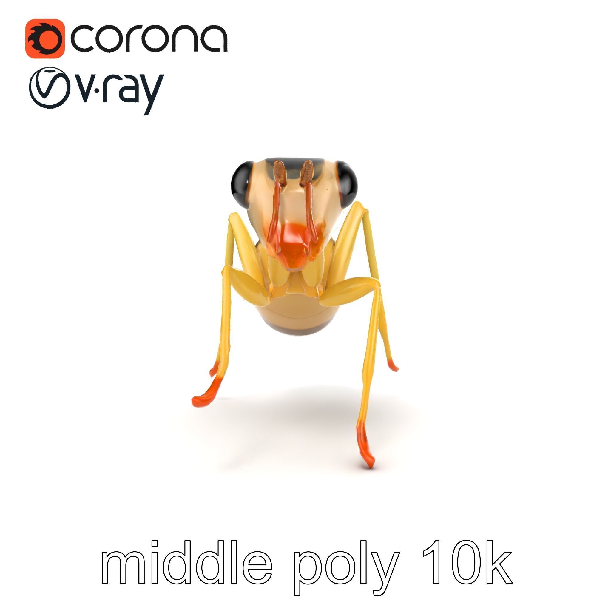 Crystal White Sugar Ant Model Pack Low-poly 3D model_30