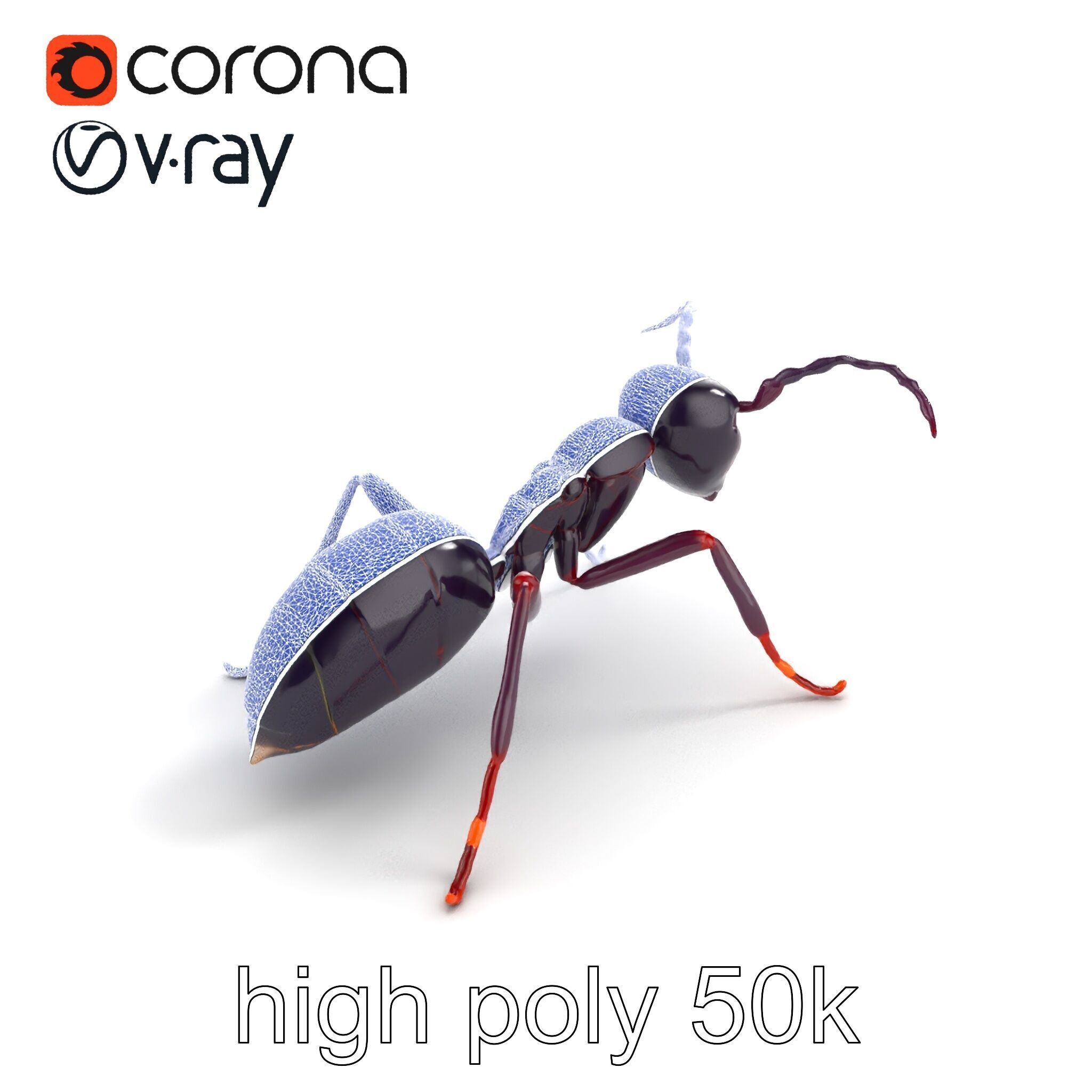 Tropical Explorer Ant Model Pack Low-poly 3D model_17