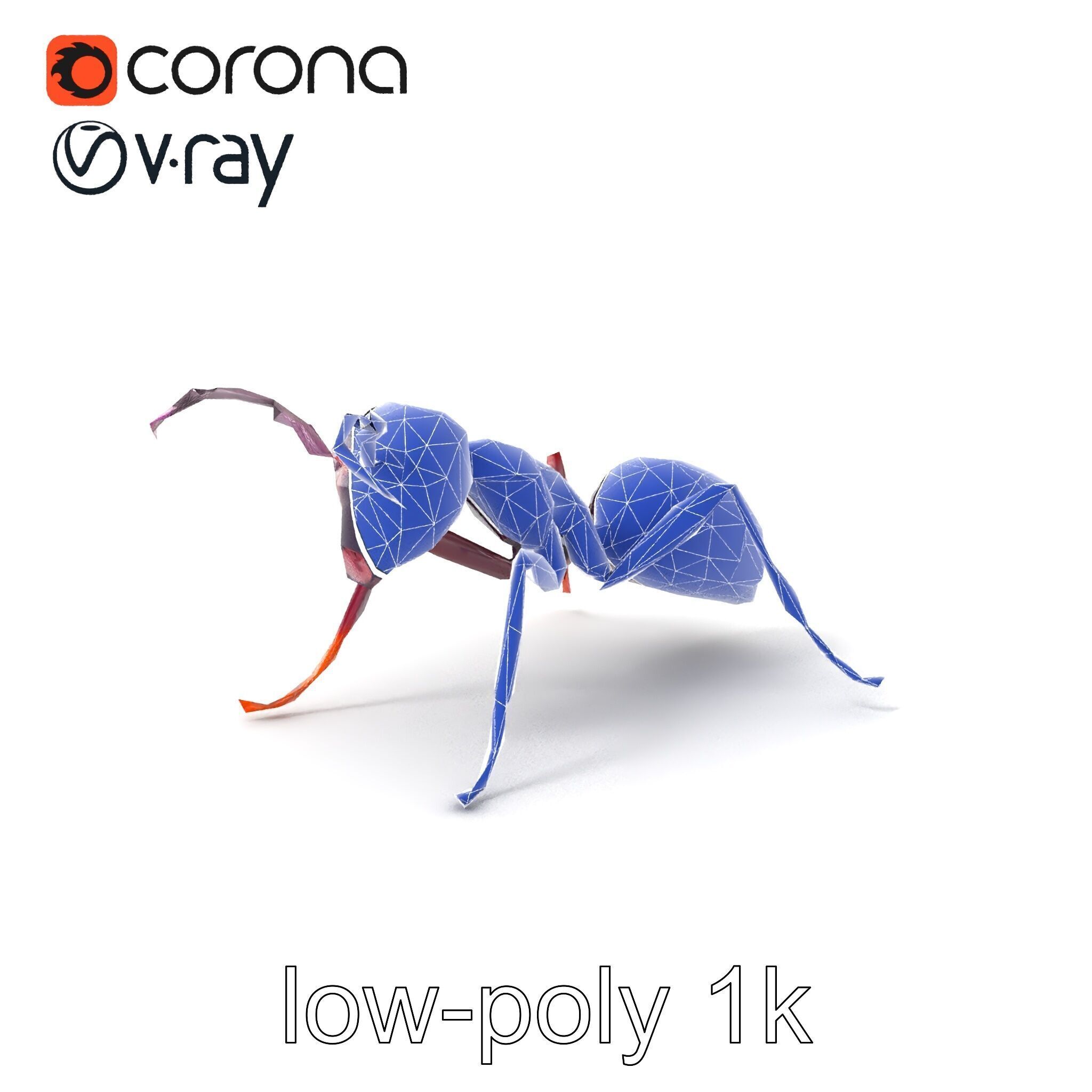 Tropical Explorer Ant Model Pack Low-poly 3D model_6