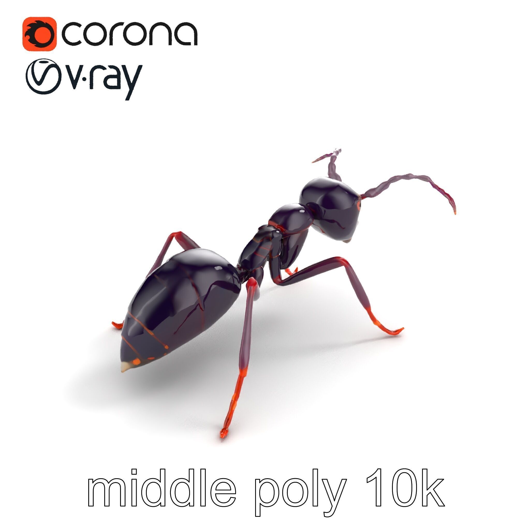 Tropical Explorer Ant Model Pack Low-poly 3D model_7