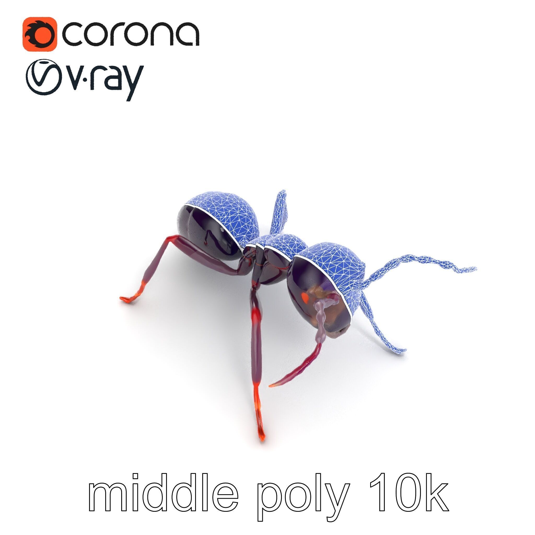 Tropical Explorer Ant Model Pack Low-poly 3D model_21