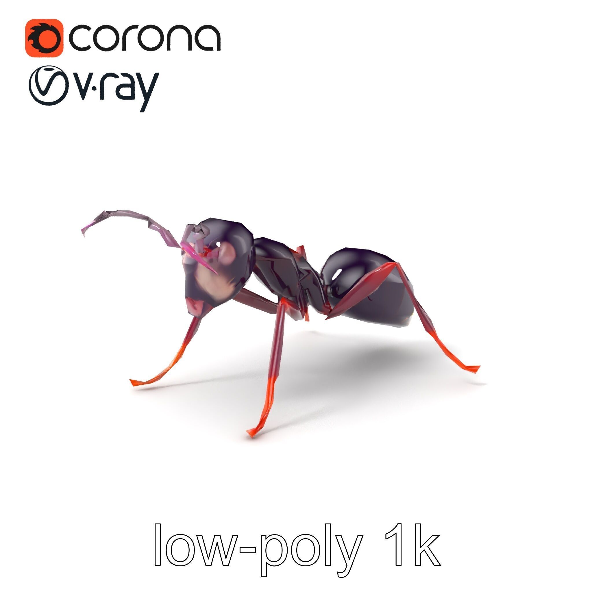Tropical Explorer Ant Model Pack Low-poly 3D model_4