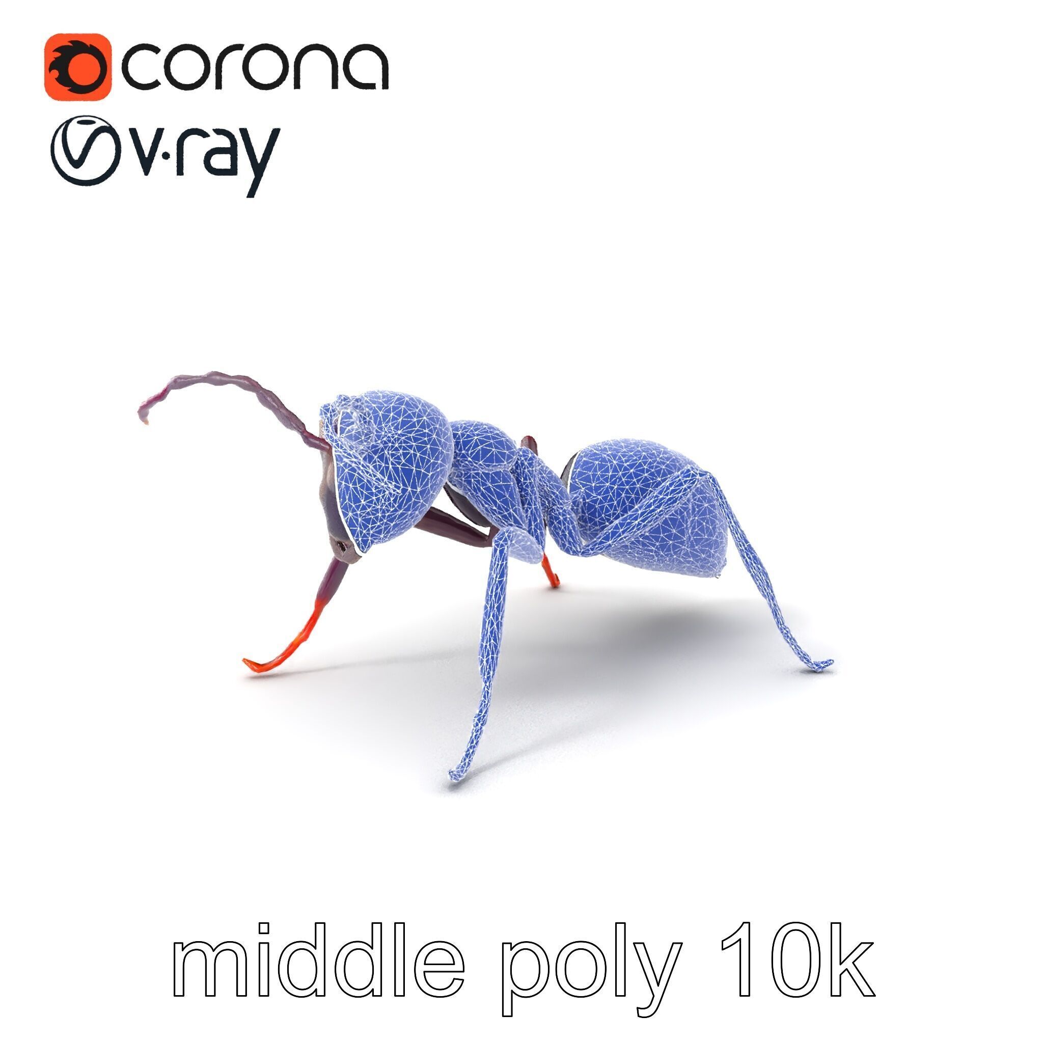 Tropical Explorer Ant Model Pack Low-poly 3D model_5