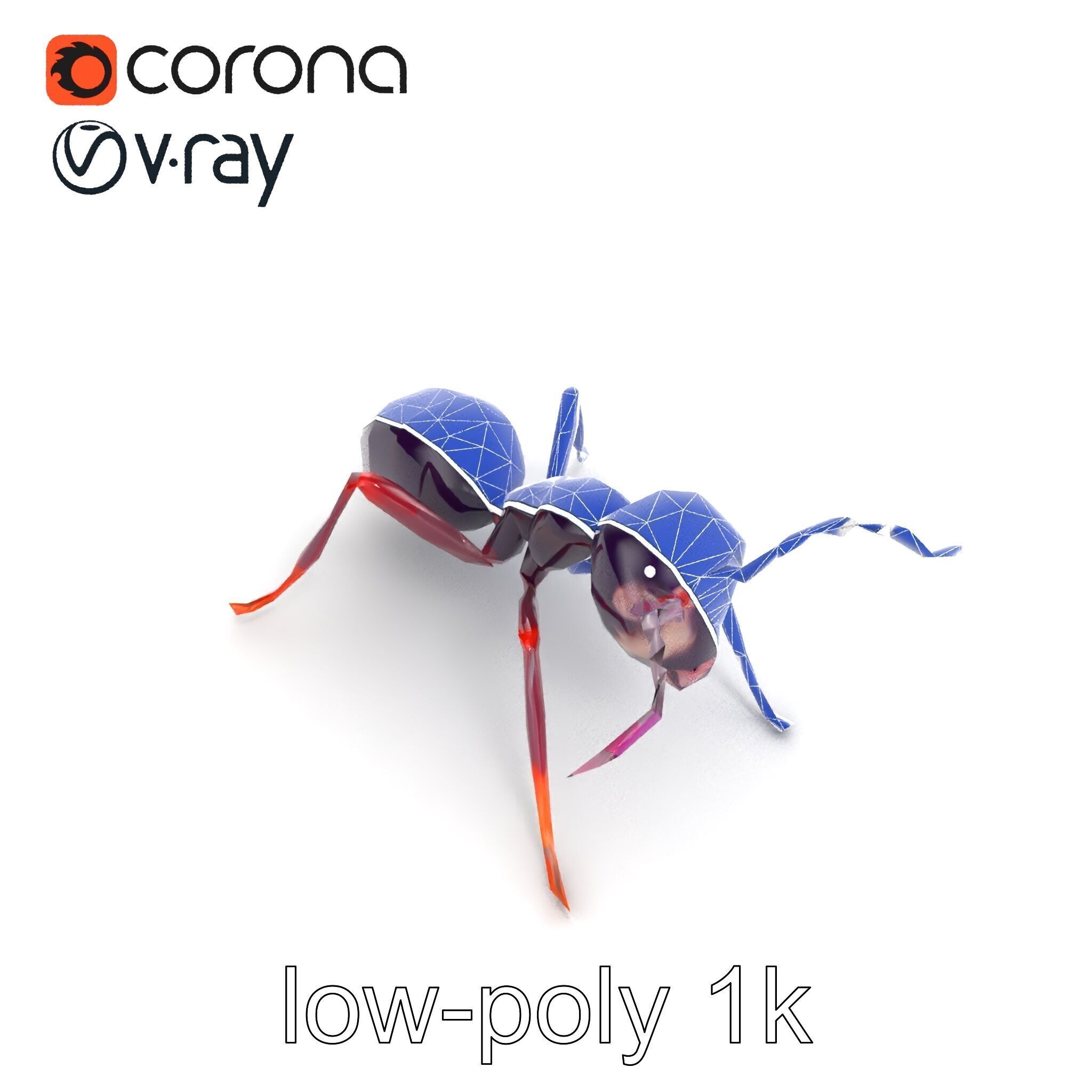 Tropical Explorer Ant Model Pack Low-poly 3D model_23