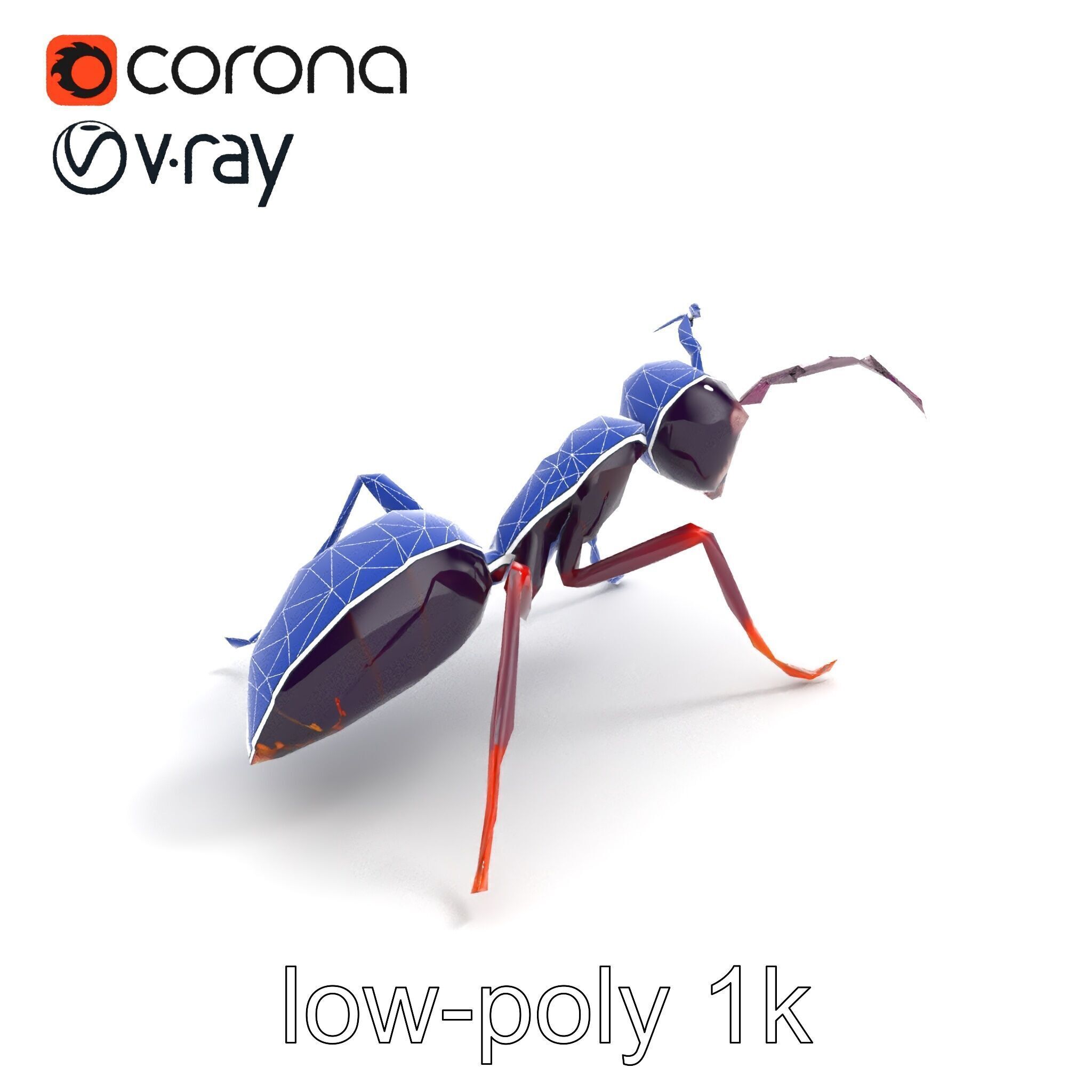 Tropical Explorer Ant Model Pack Low-poly 3D model_10