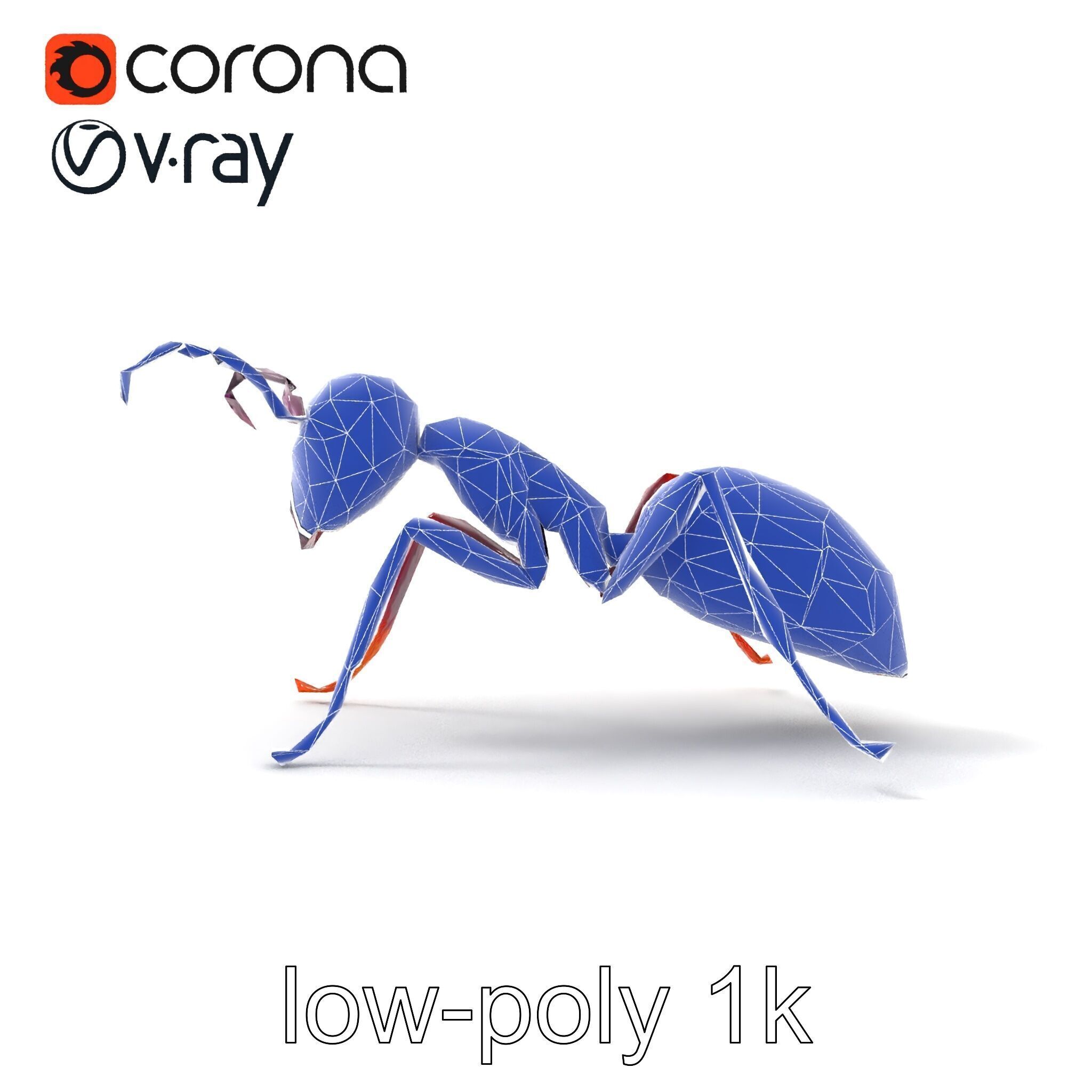 Tropical Explorer Ant Model Pack Low-poly 3D model_15