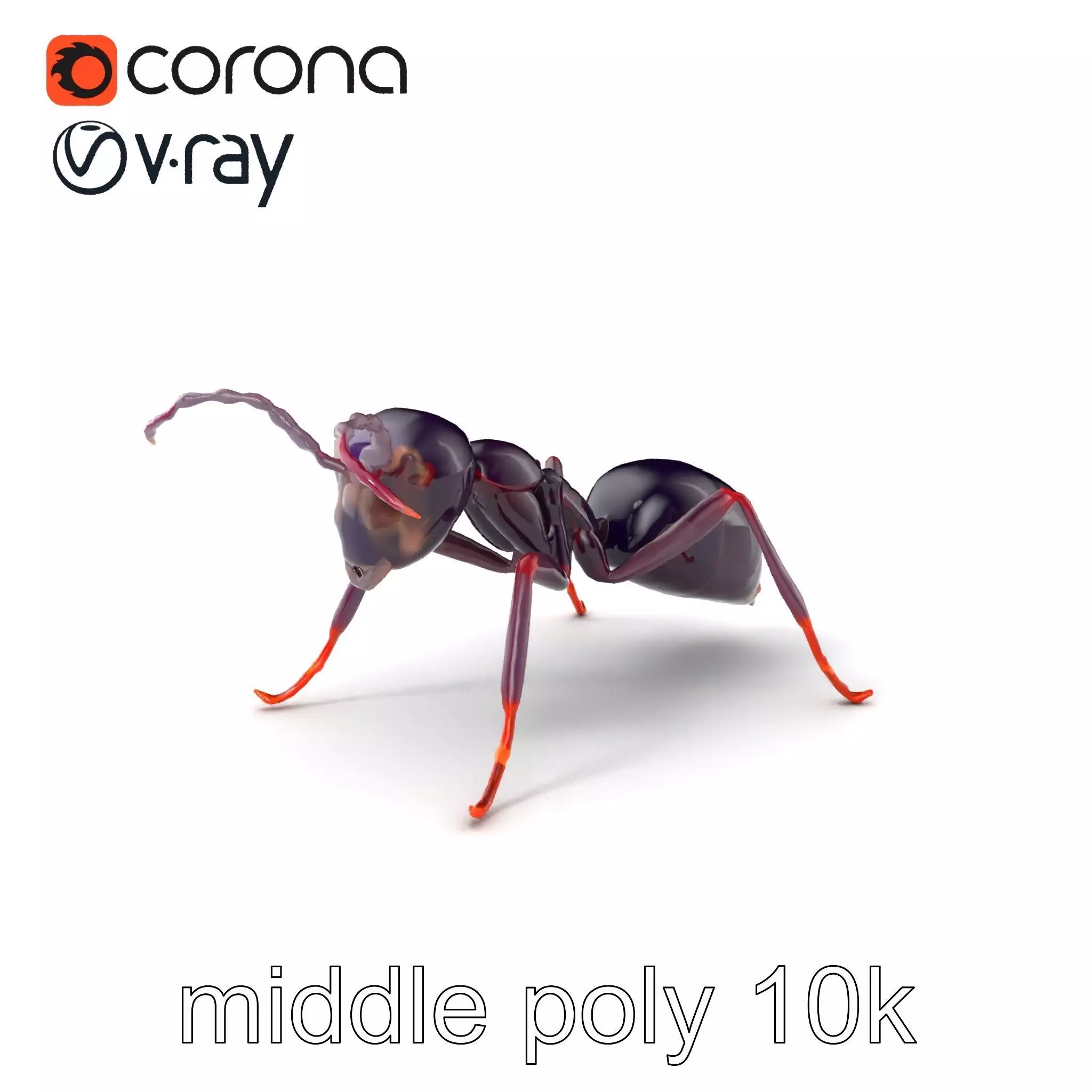 Tropical Explorer Ant Model Pack Low-poly 3D model_0