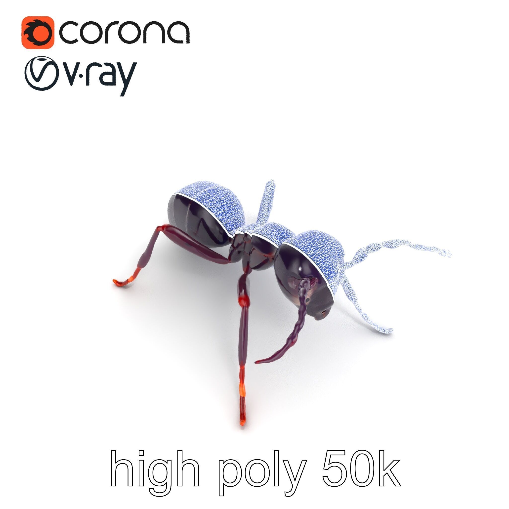 Tropical Explorer Ant Model Pack Low-poly 3D model_14