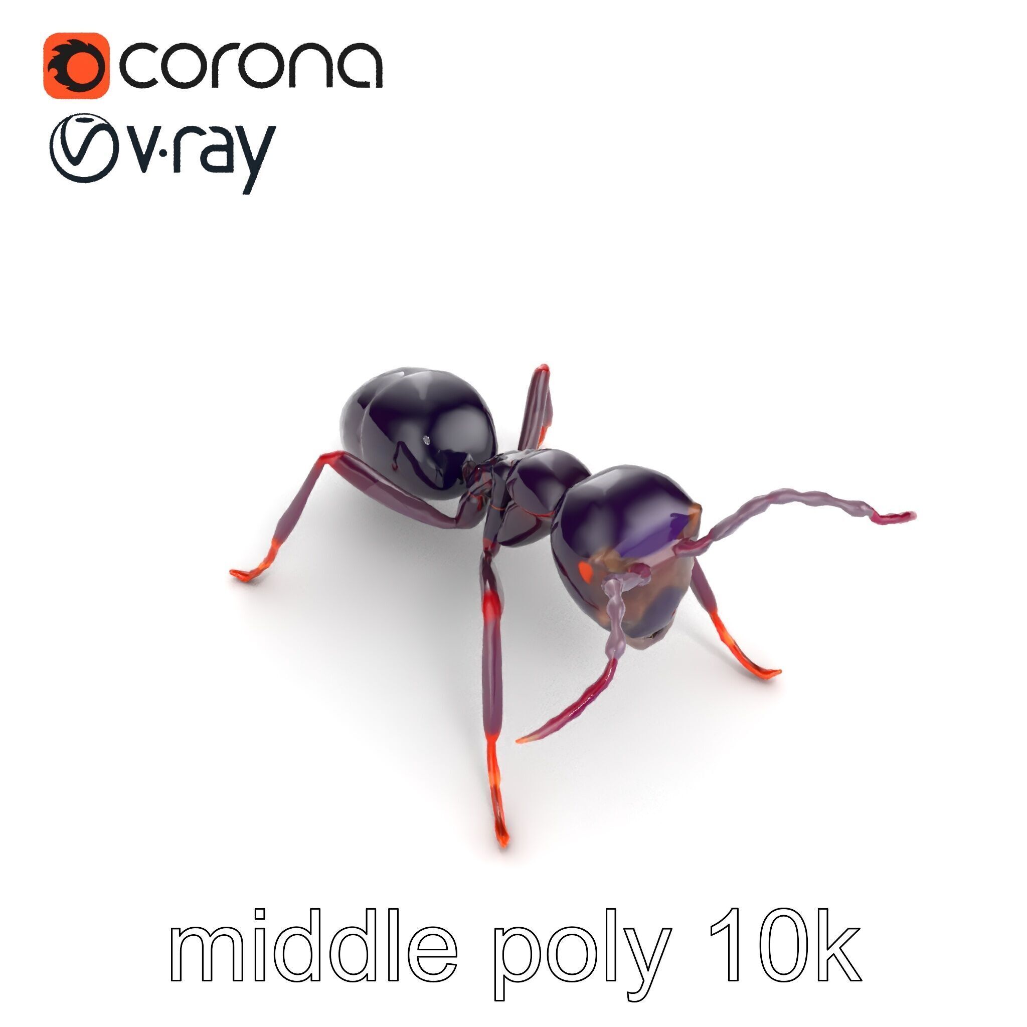 Tropical Explorer Ant Model Pack Low-poly 3D model_13