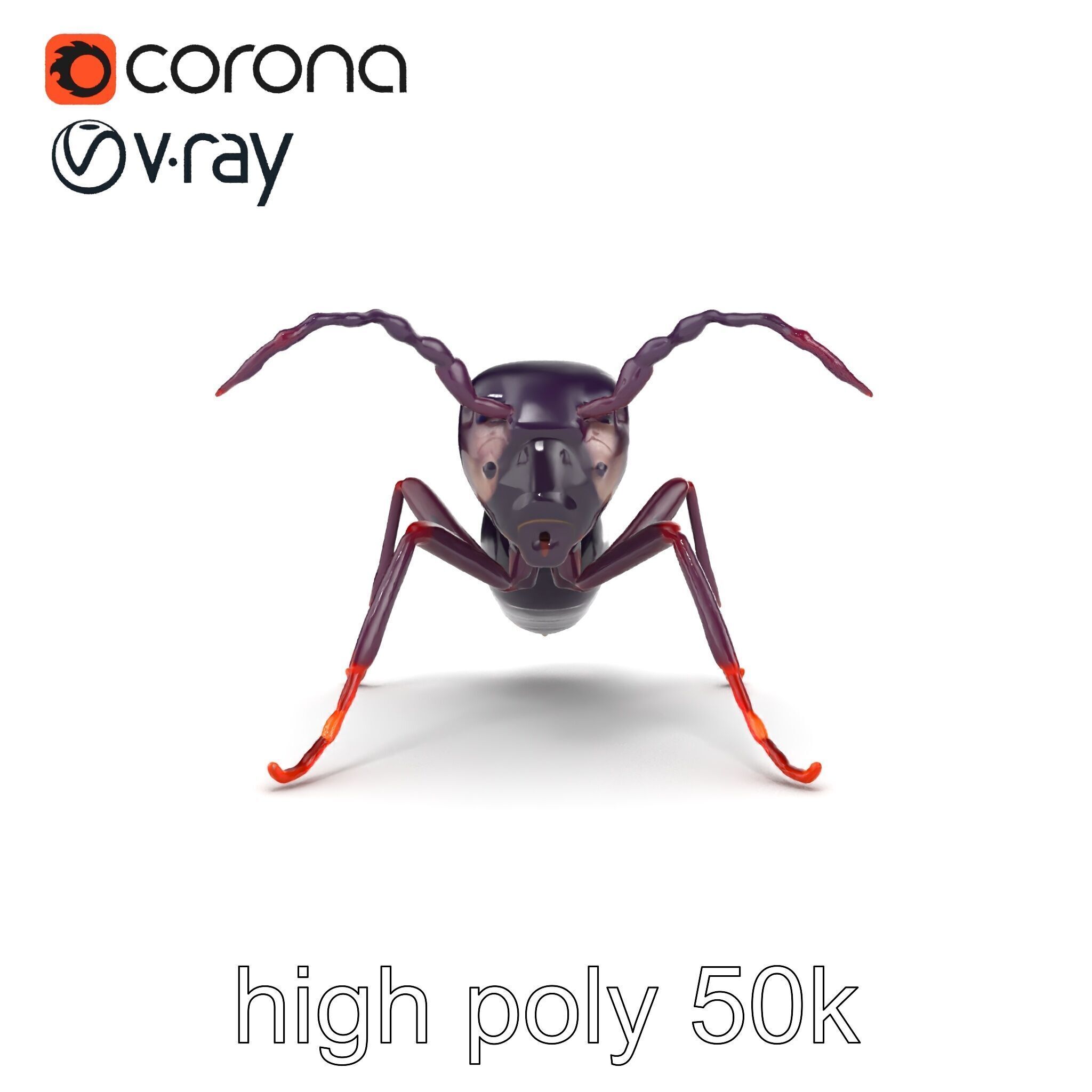 Tropical Explorer Ant Model Pack Low-poly 3D model_25