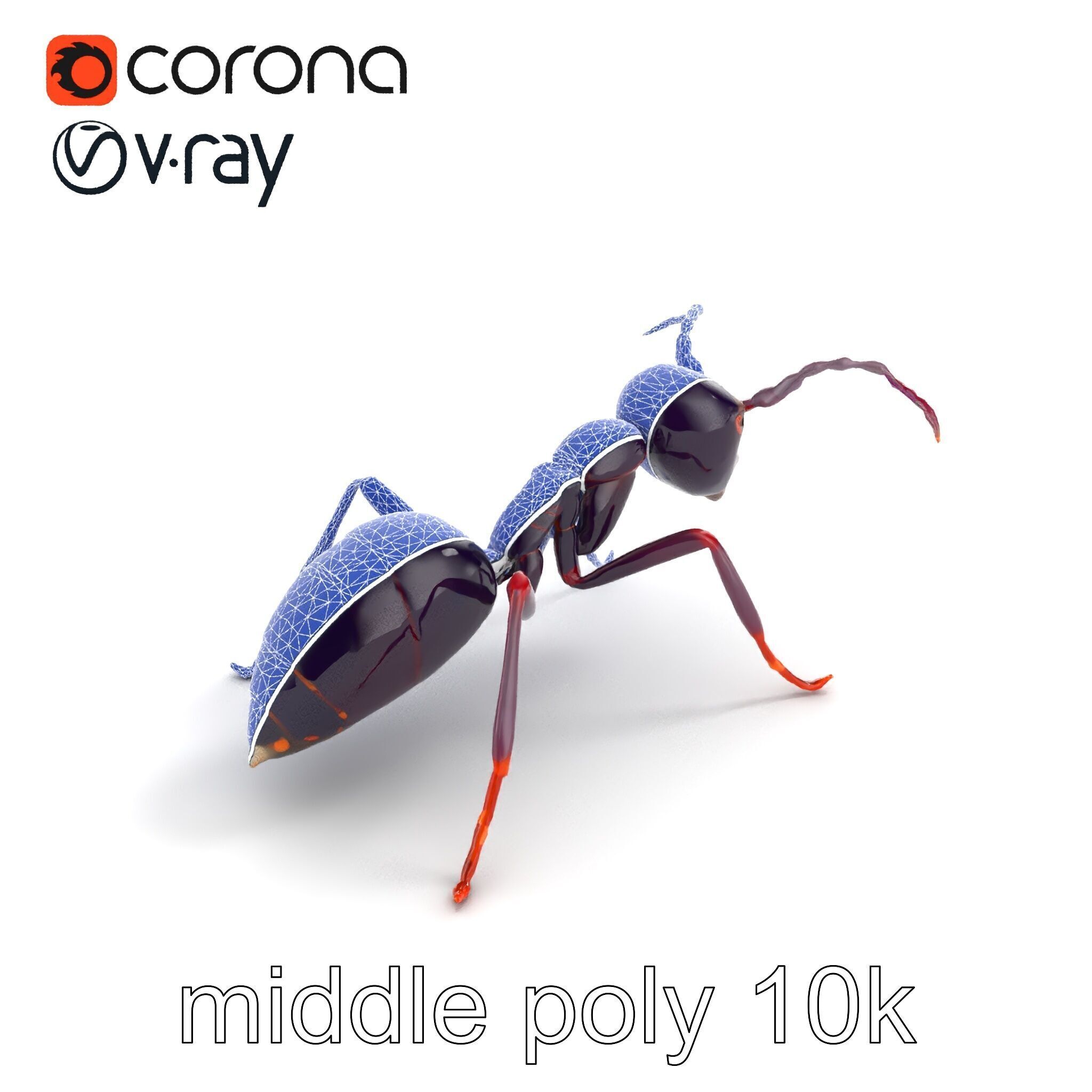 Tropical Explorer Ant Model Pack Low-poly 3D model_26