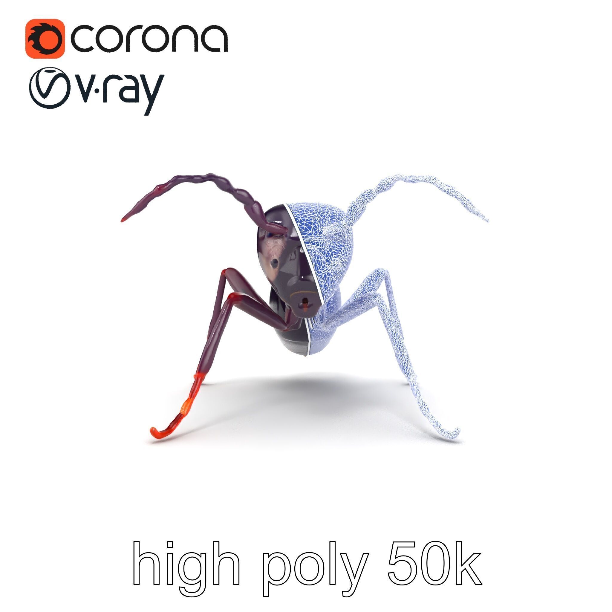 Tropical Explorer Ant Model Pack Low-poly 3D model_29