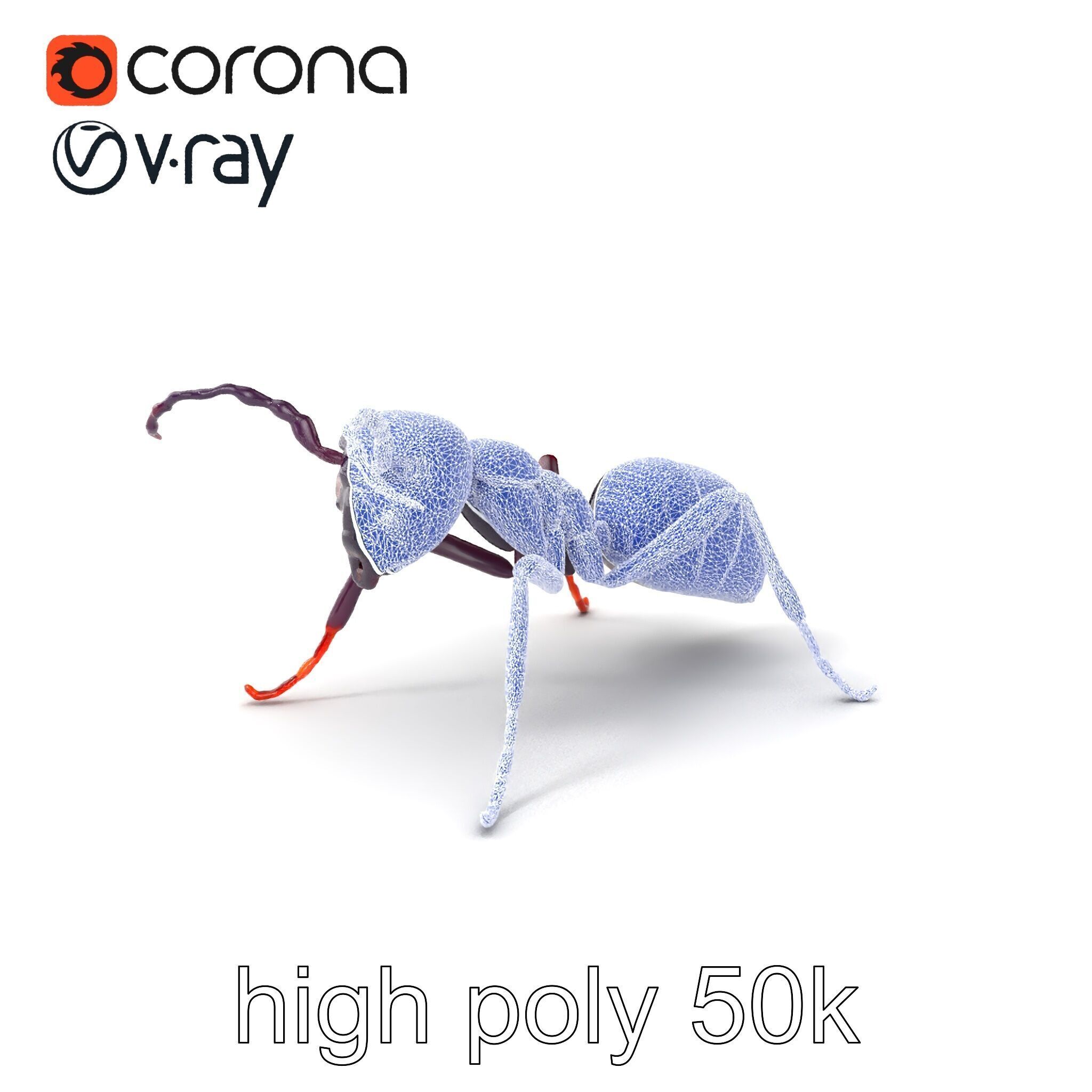 Tropical Explorer Ant Model Pack Low-poly 3D model_1