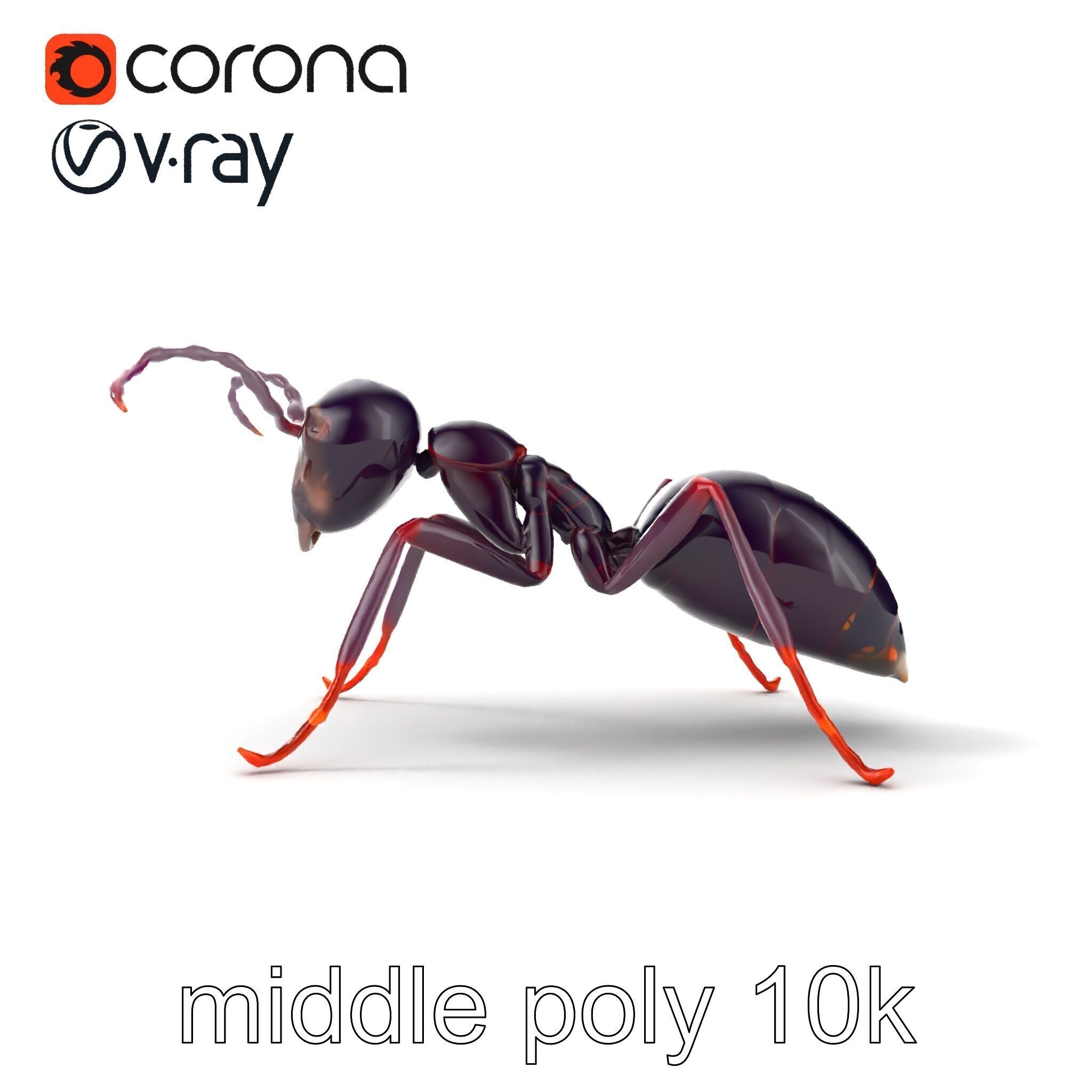 Tropical Explorer Ant Model Pack Low-poly 3D model_18
