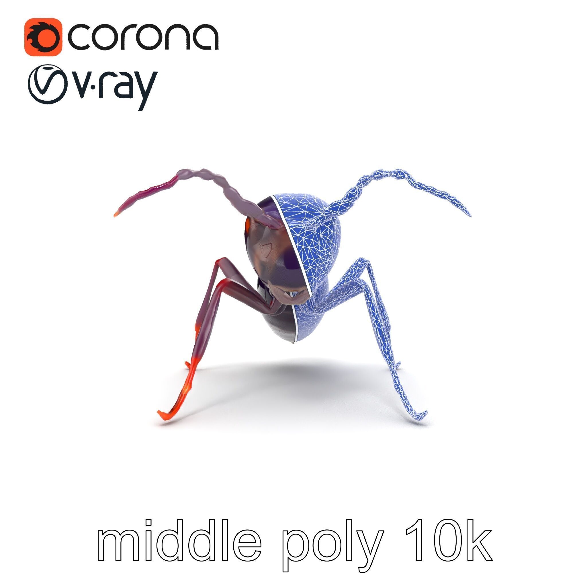 Tropical Explorer Ant Model Pack Low-poly 3D model_28