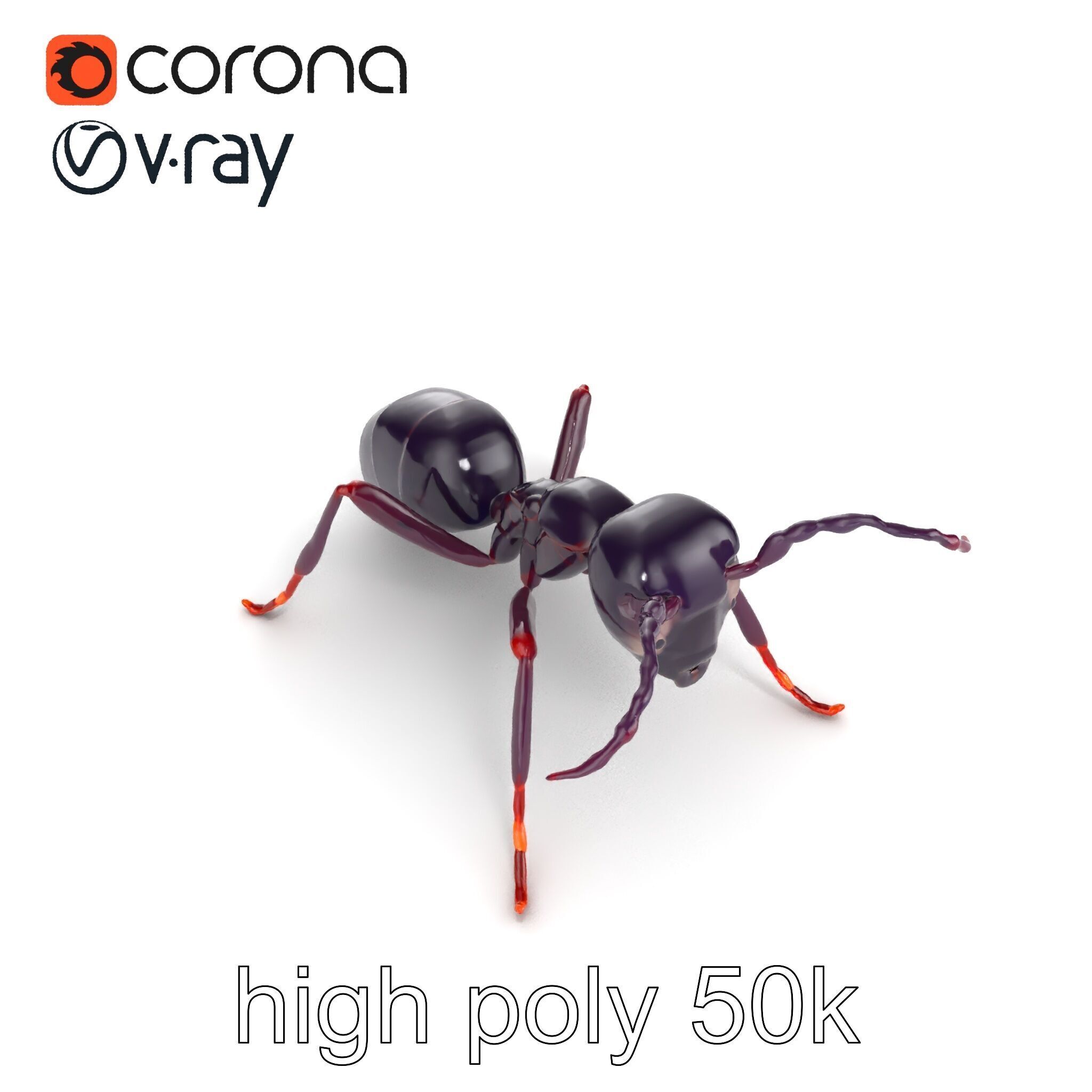 Tropical Explorer Ant Model Pack Low-poly 3D model_20