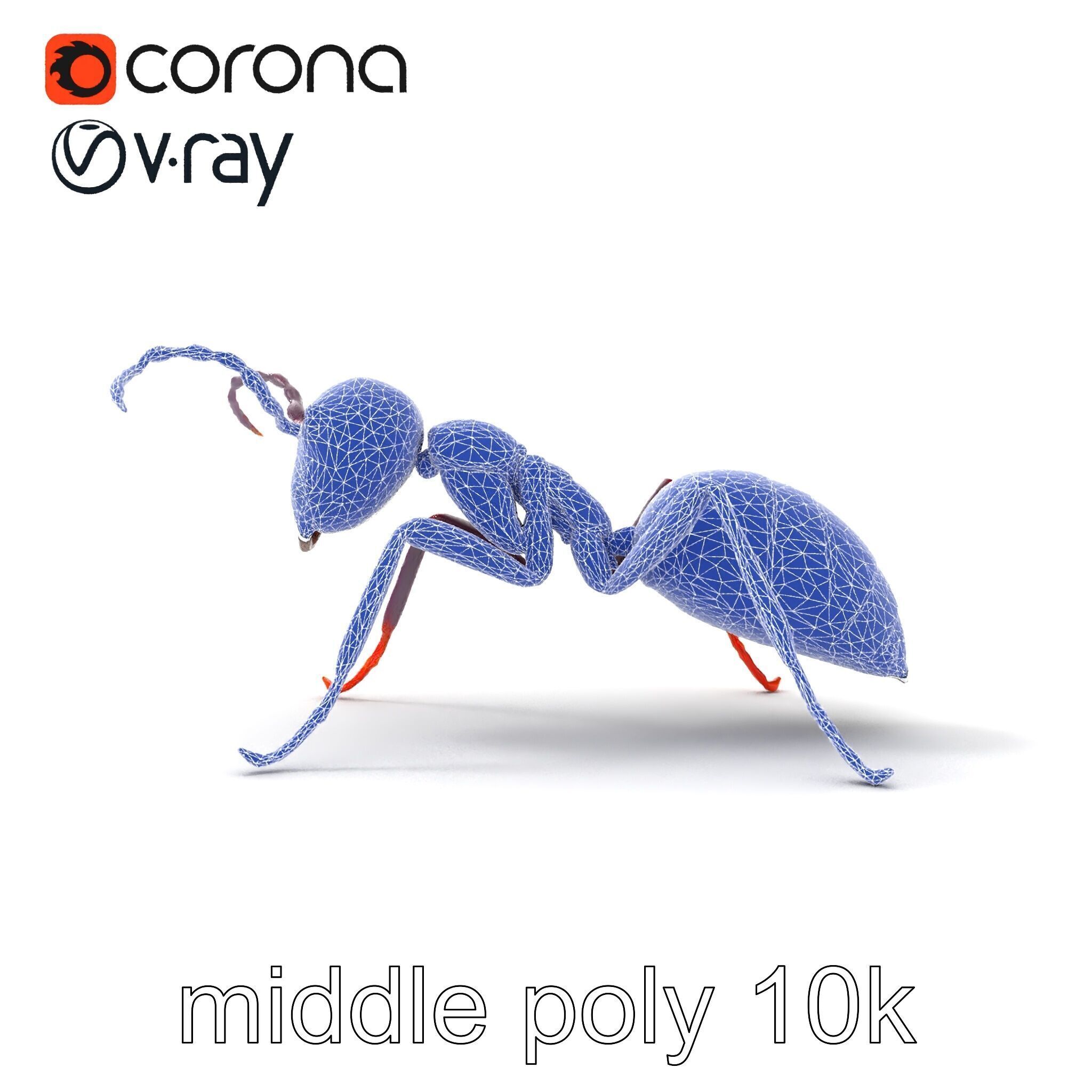 Tropical Explorer Ant Model Pack Low-poly 3D model_30