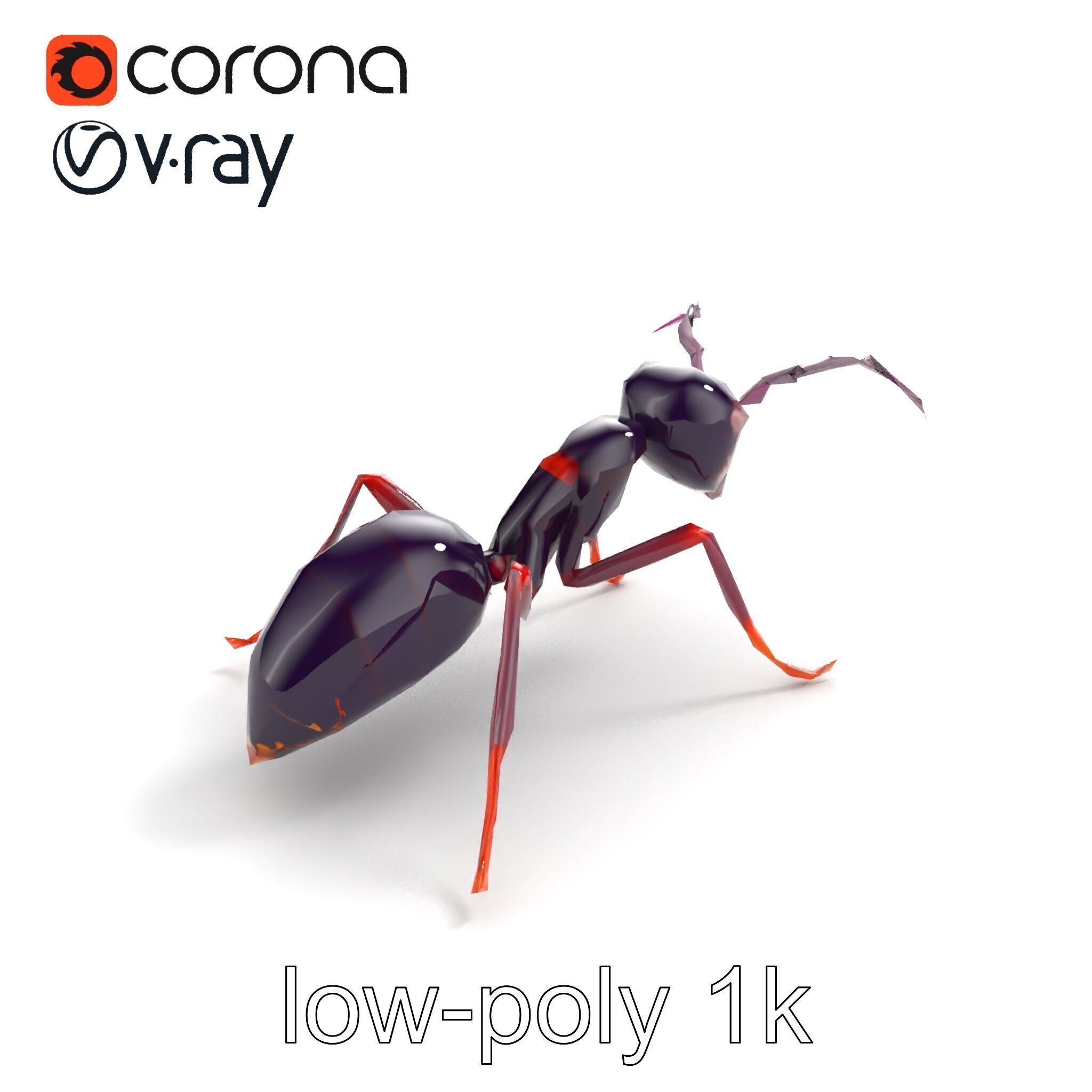 Tropical Explorer Ant Model Pack Low-poly 3D model_8