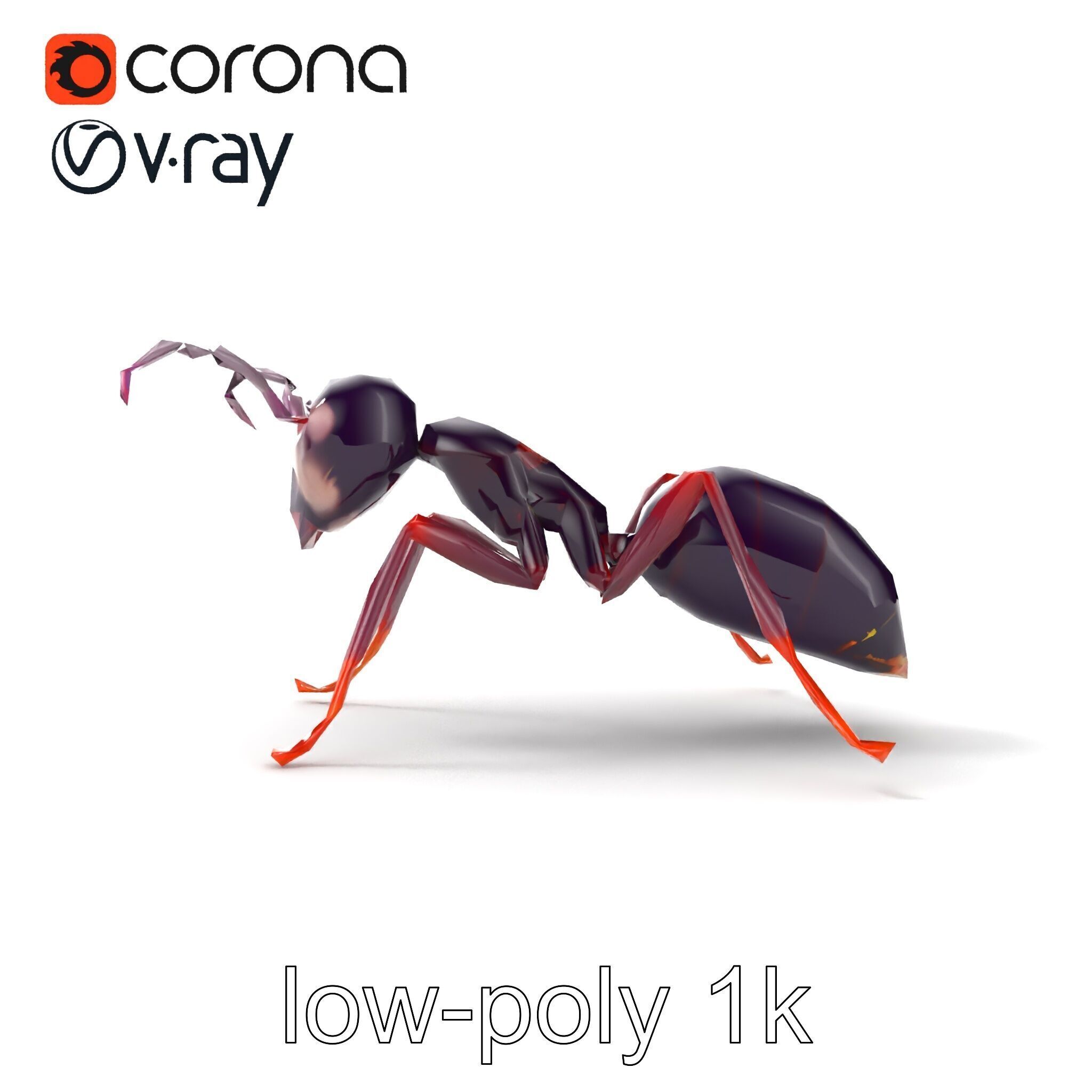 Tropical Explorer Ant Model Pack Low-poly 3D model_16