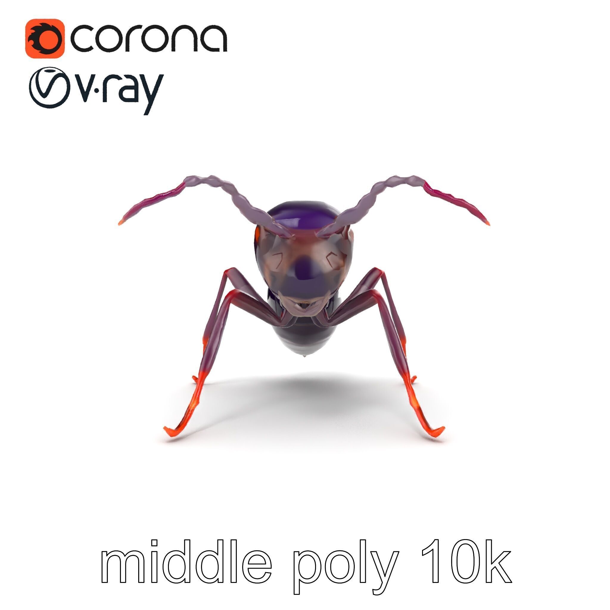 Tropical Explorer Ant Model Pack Low-poly 3D model_22