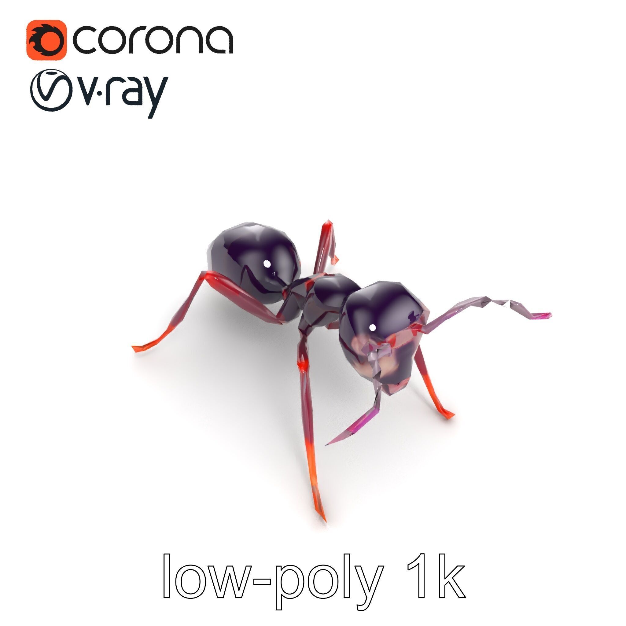 Tropical Explorer Ant Model Pack Low-poly 3D model_24