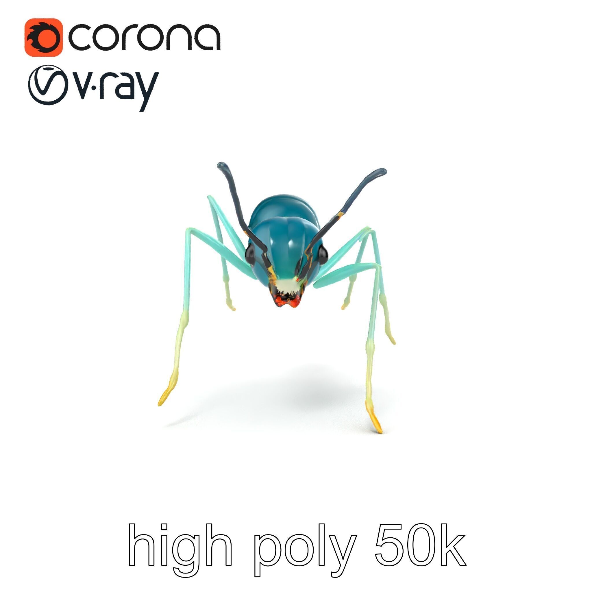 Aquamarine Water Ant Smooth Model Pack Low-poly 3D model_18
