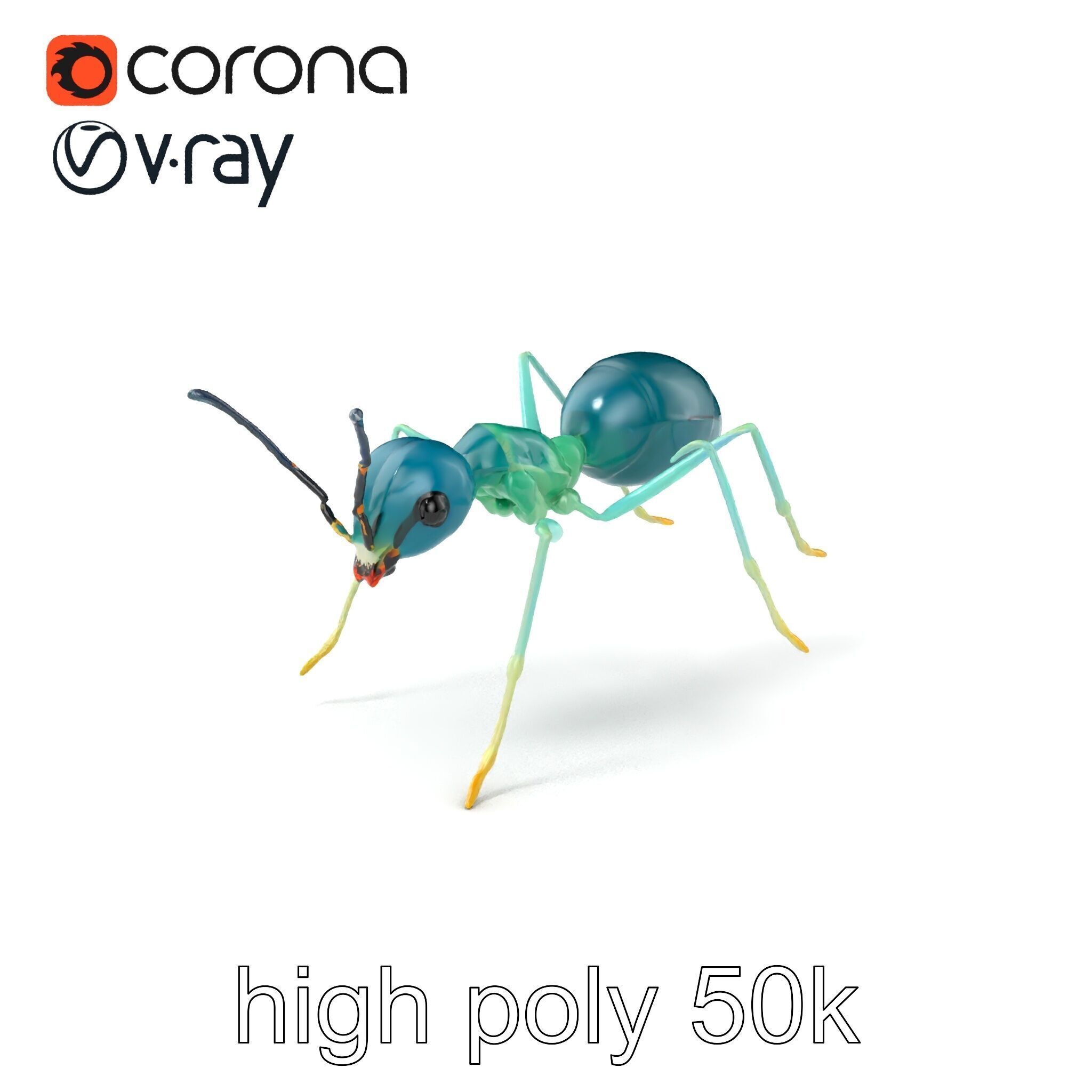Aquamarine Water Ant Smooth Model Pack Low-poly 3D model_2