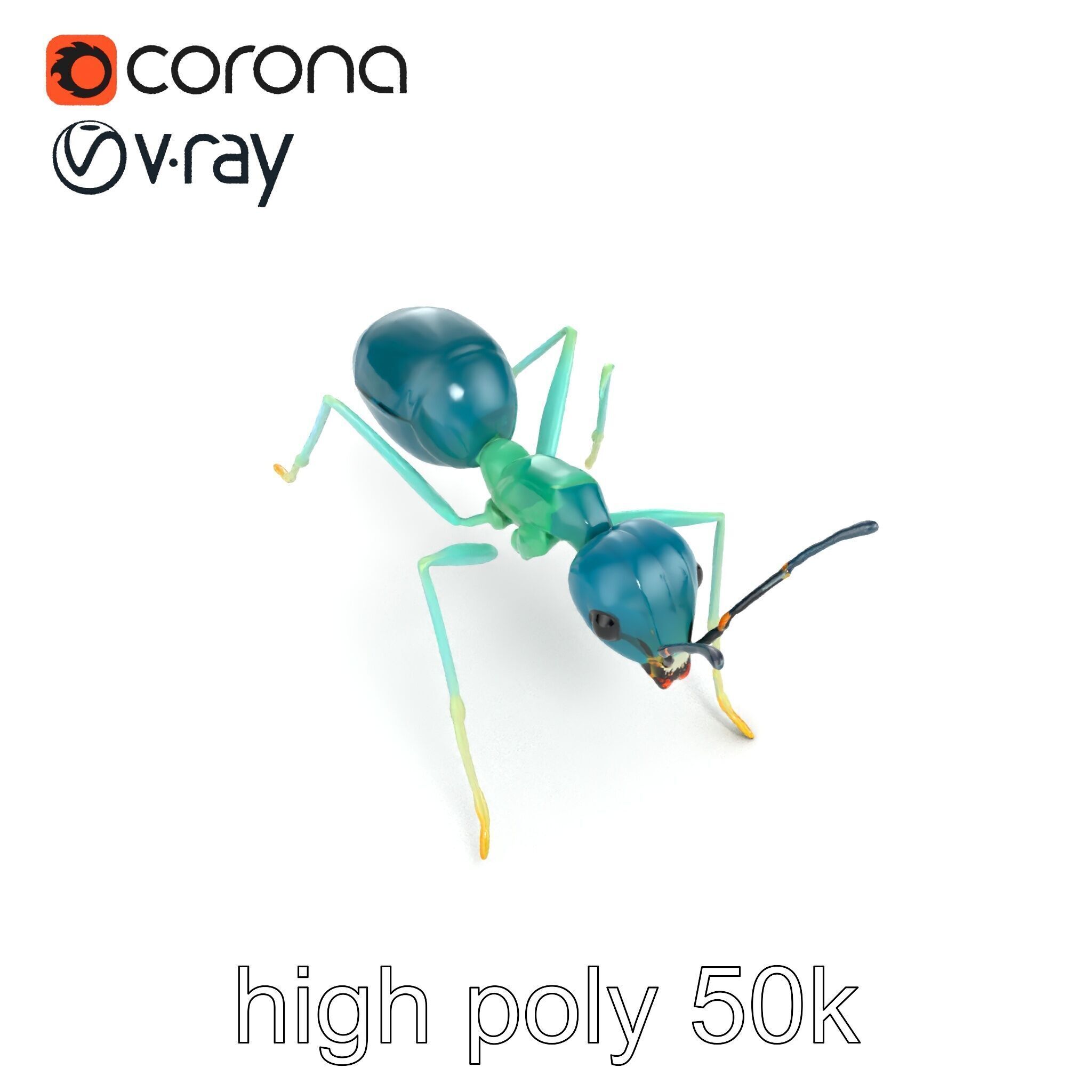 Aquamarine Water Ant Smooth Model Pack Low-poly 3D model_21
