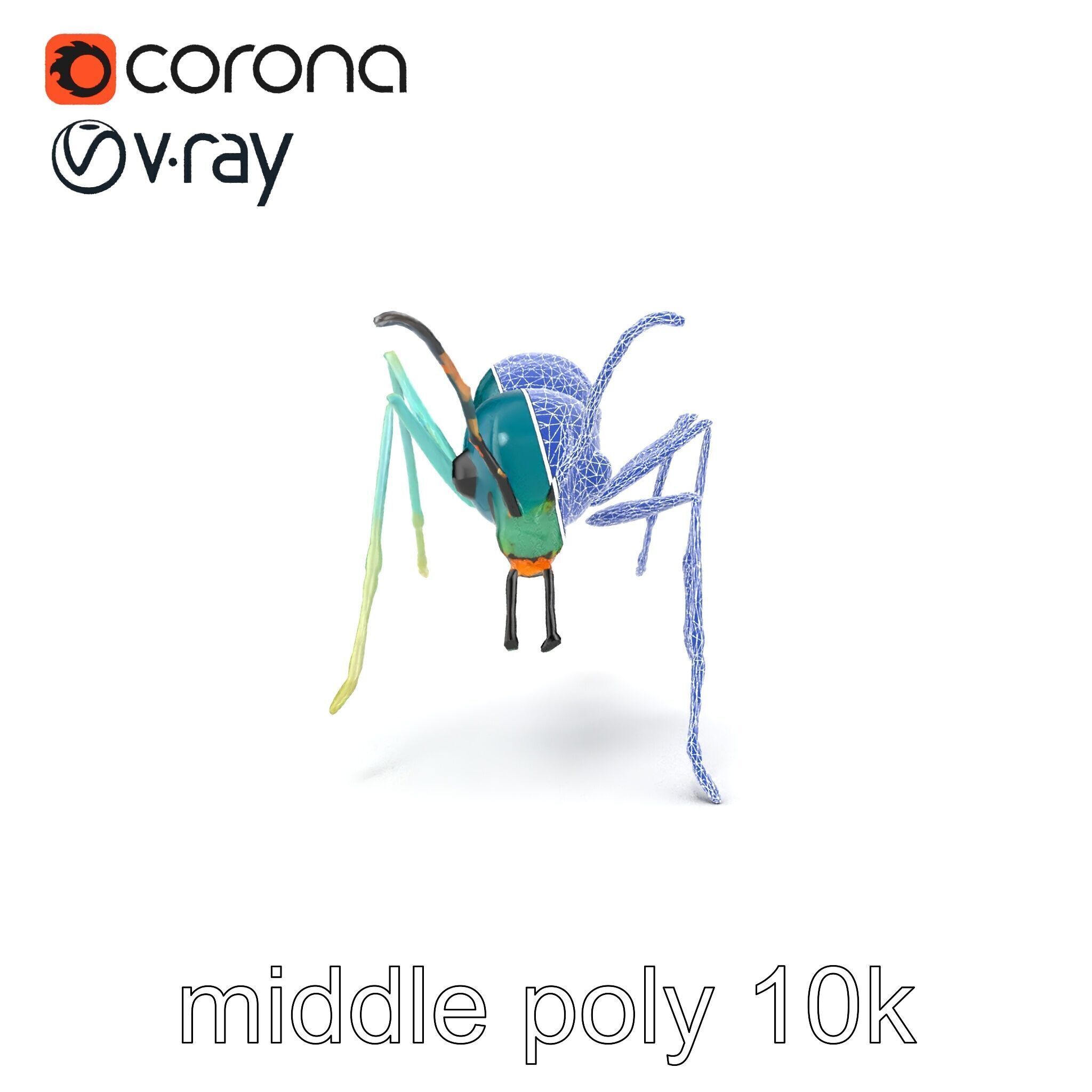 Aquamarine Water Ant Smooth Model Pack Low-poly 3D model_12